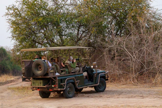 People on safari vehicle driving through dry brush.