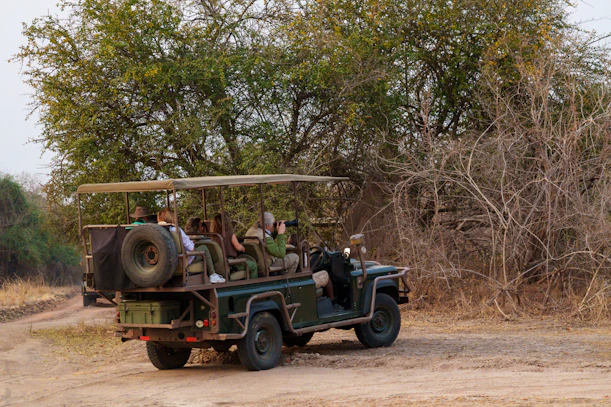 People on safari vehicle driving through dry brush.