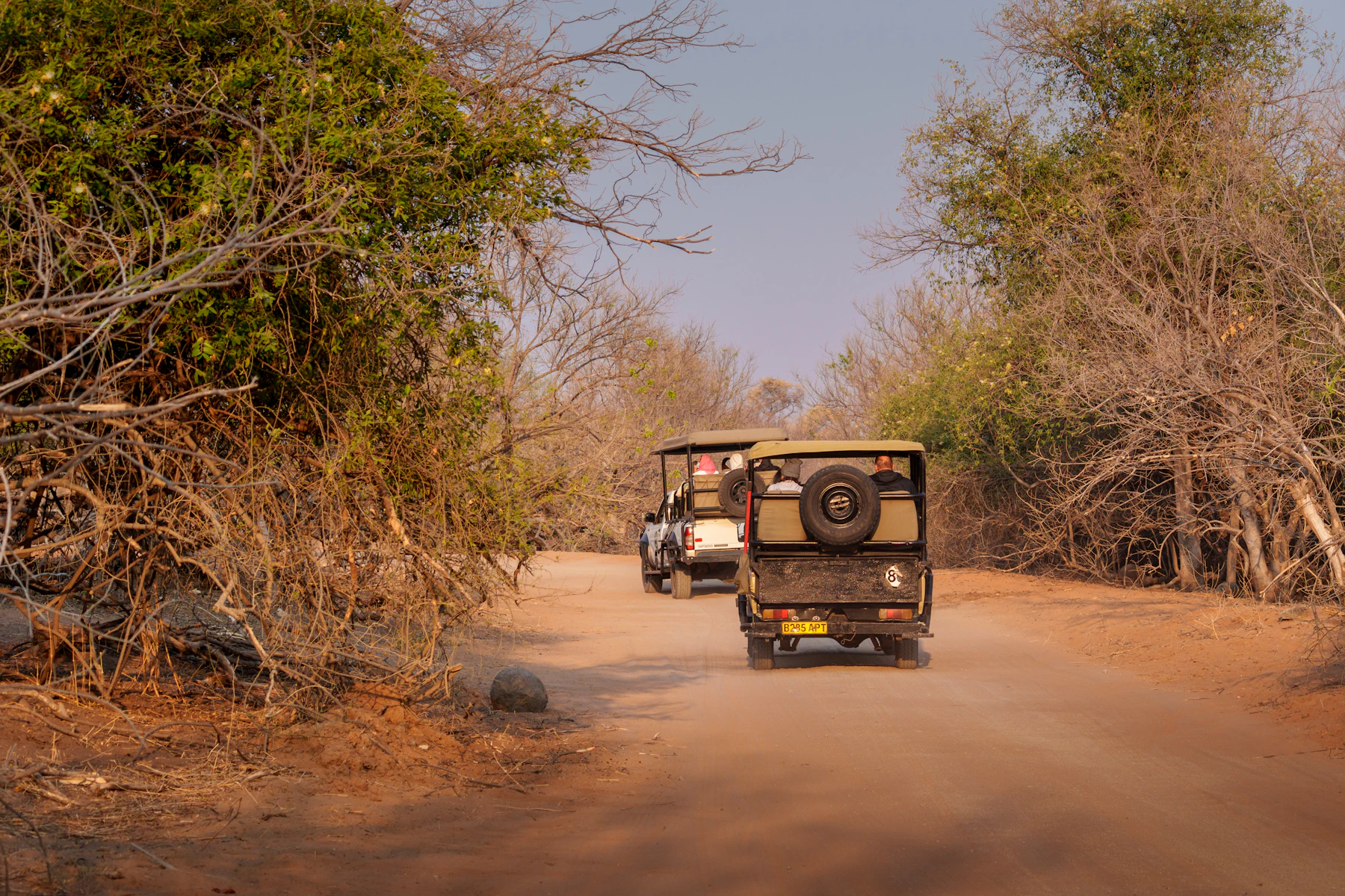 Two equipped open safari vehicles carry travelers along the overland route through Chobe National Park, Botswana