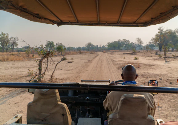 Man driving safari vehicle on dirt road