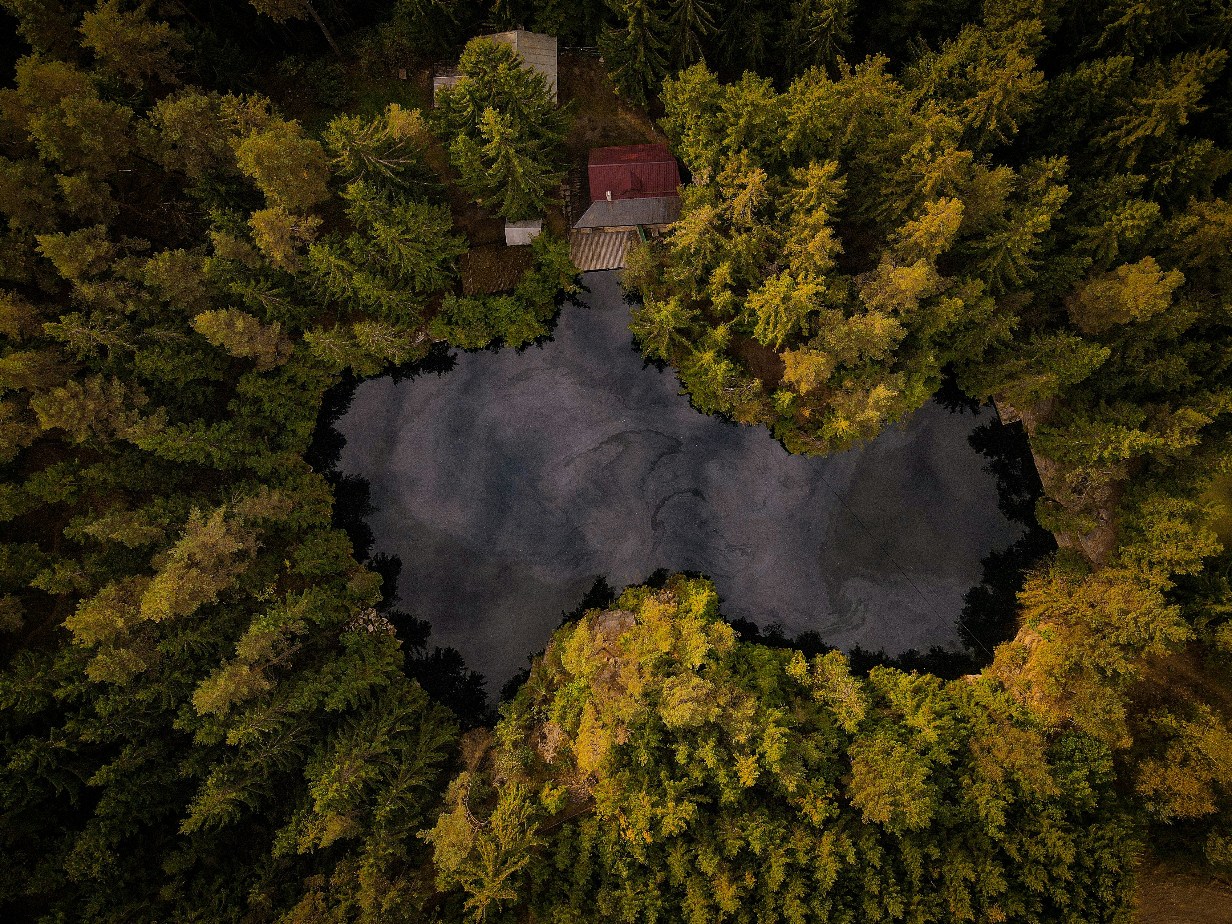 Aerial view of a heart-shaped lake surrounded by trees.