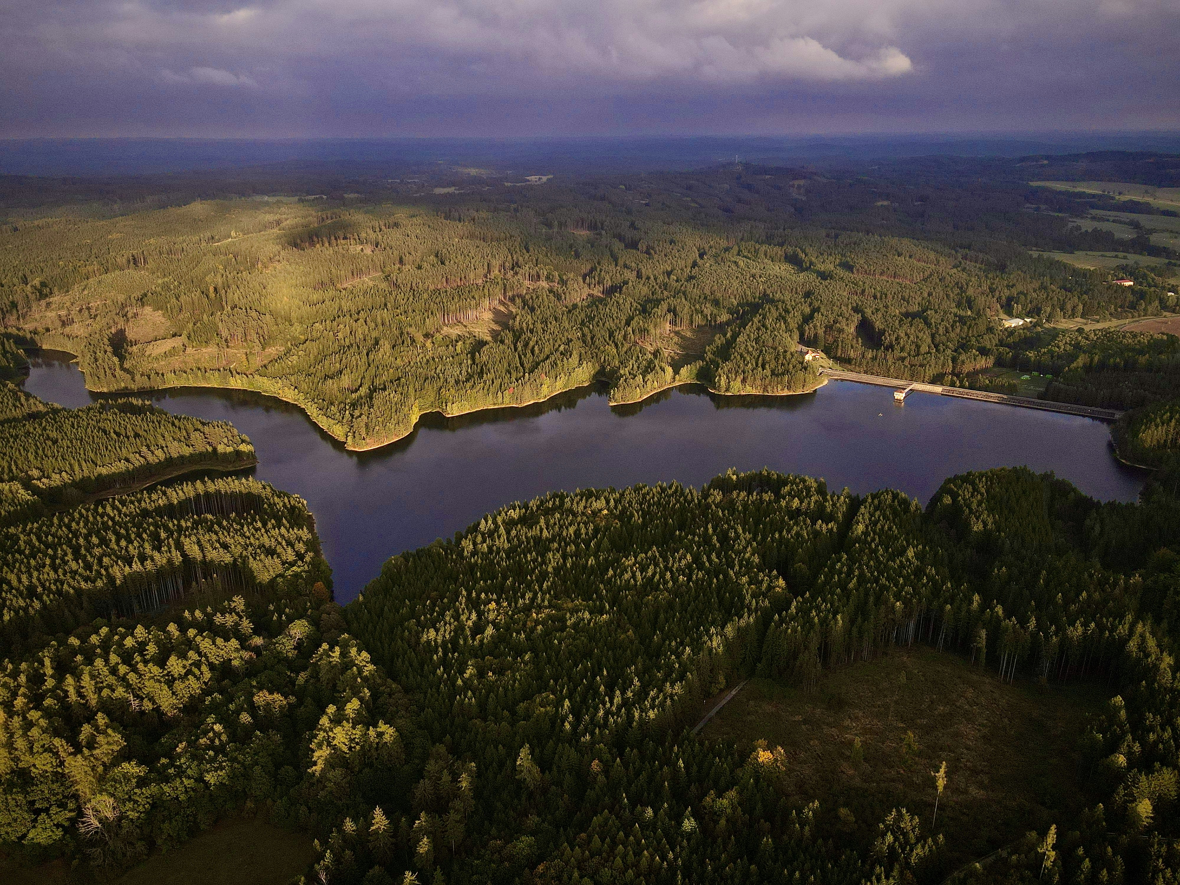 Forest lake aerial view