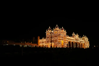 Ornate palace illuminated with countless lights at night.