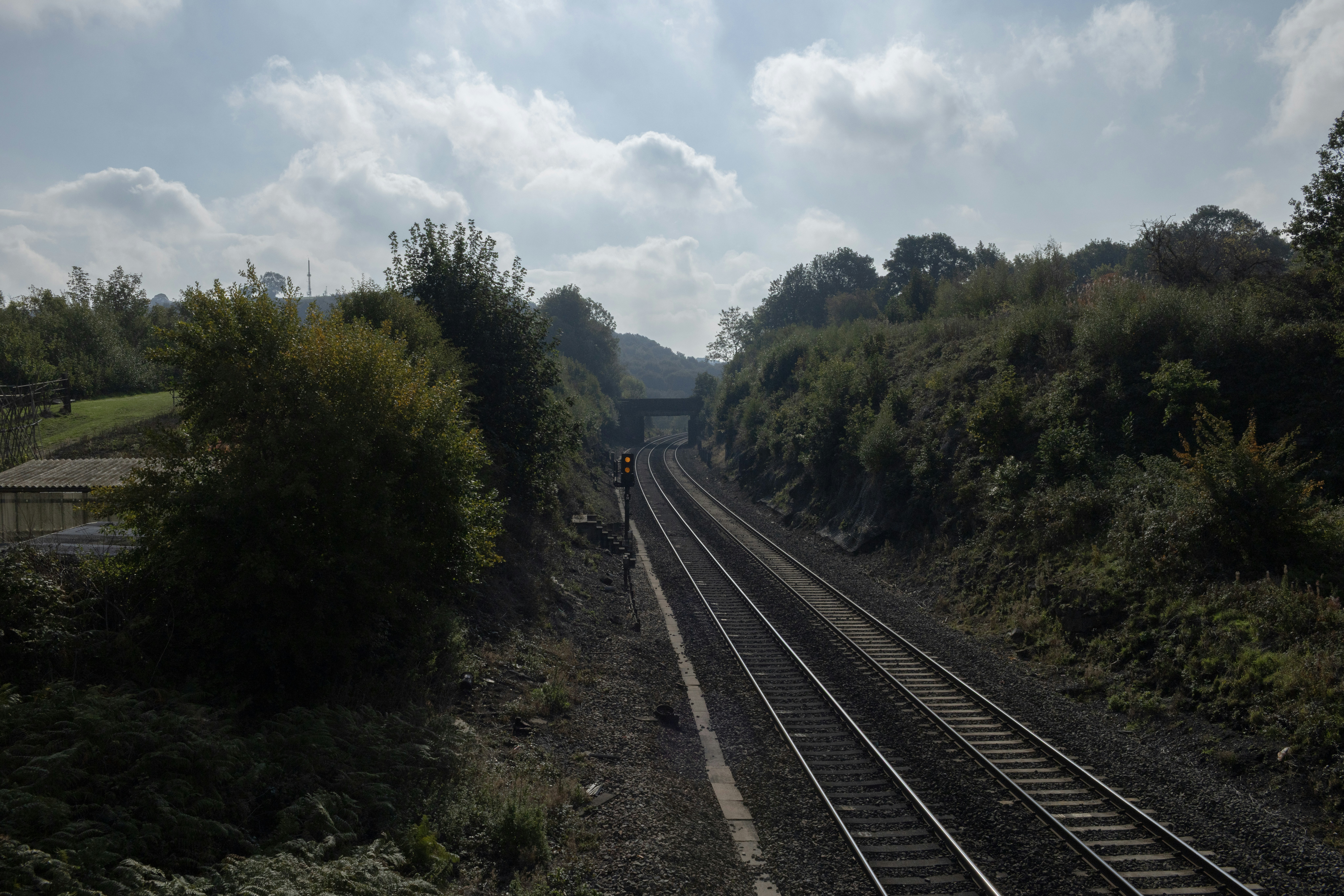 Train tracks leading to a tunnel through trees.