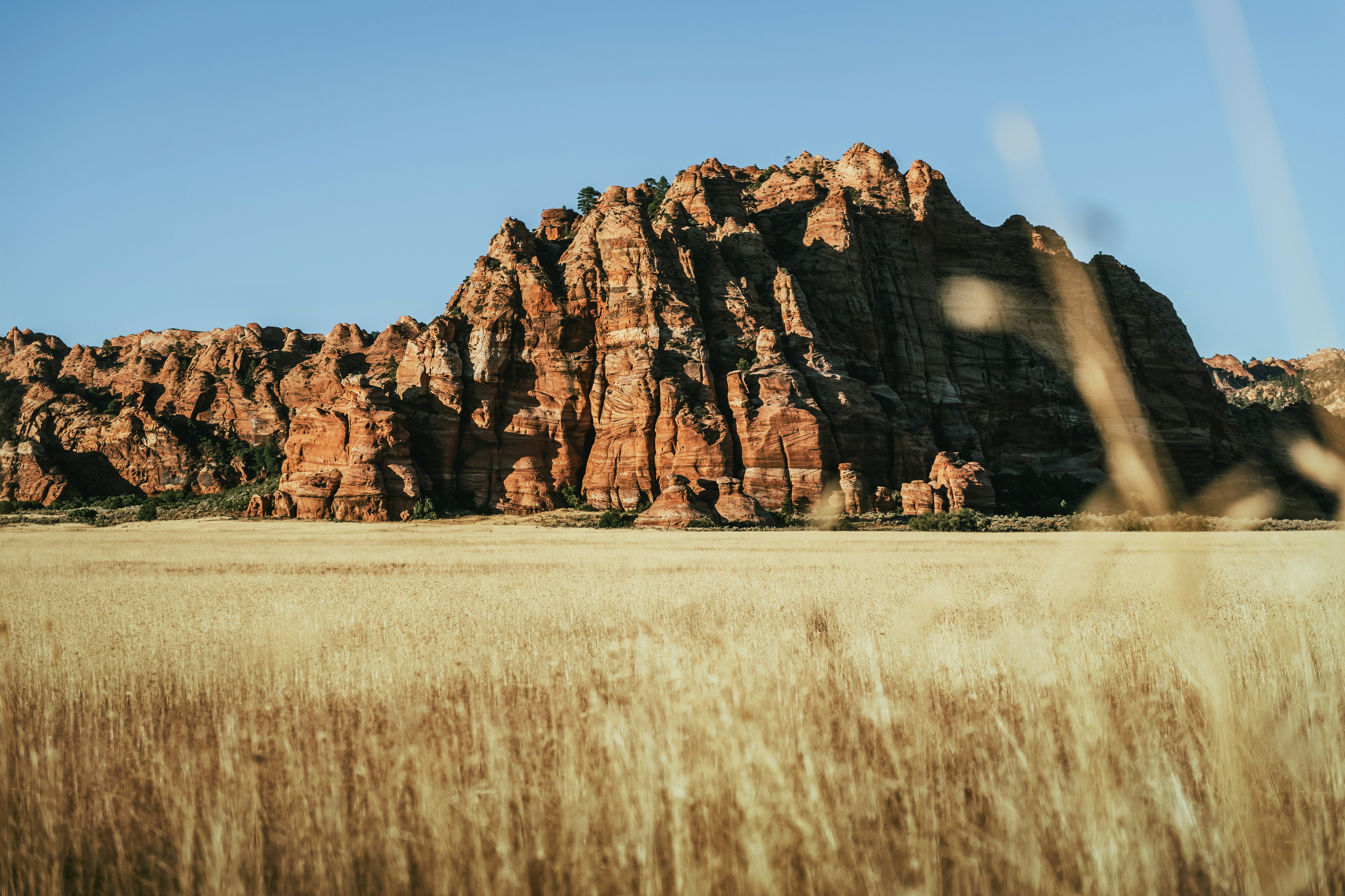 Photo by timmossholder