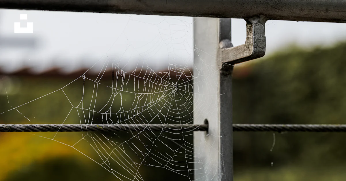 Dew drops on a spider web attached to metal railing. photo – Free ...