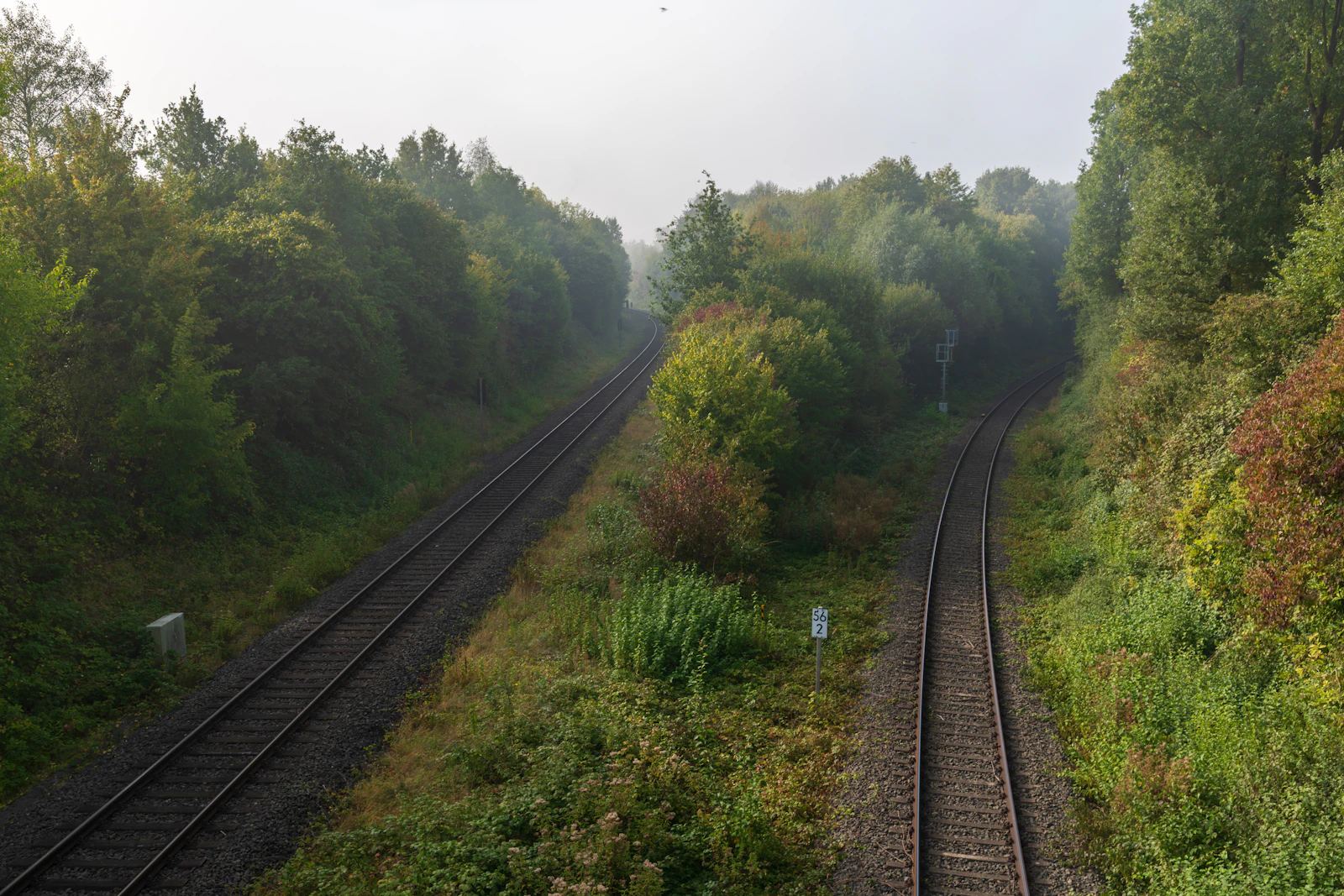 Two railway tracks diverging through a misty forest