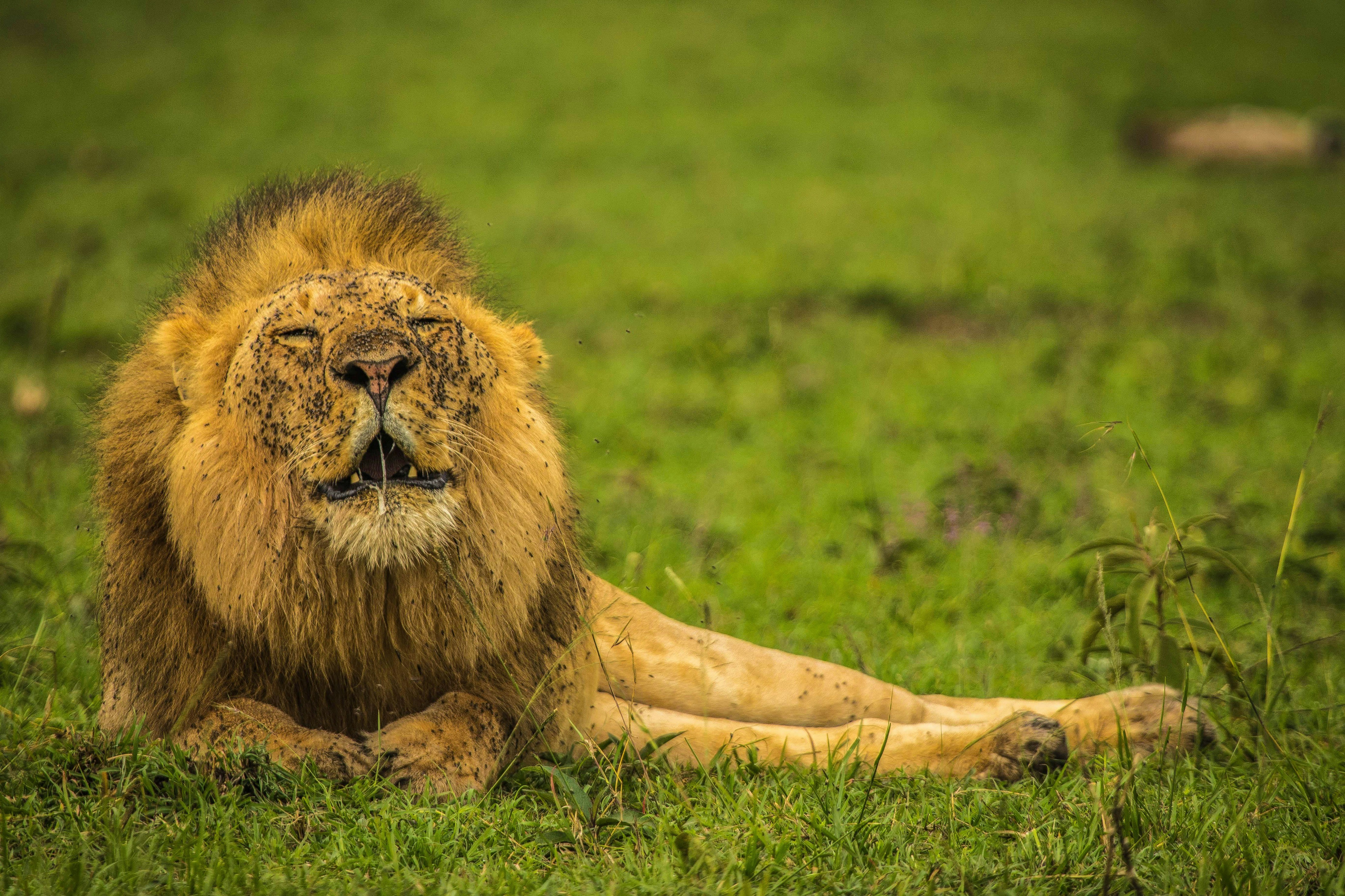 Photo by meektrails_safaris