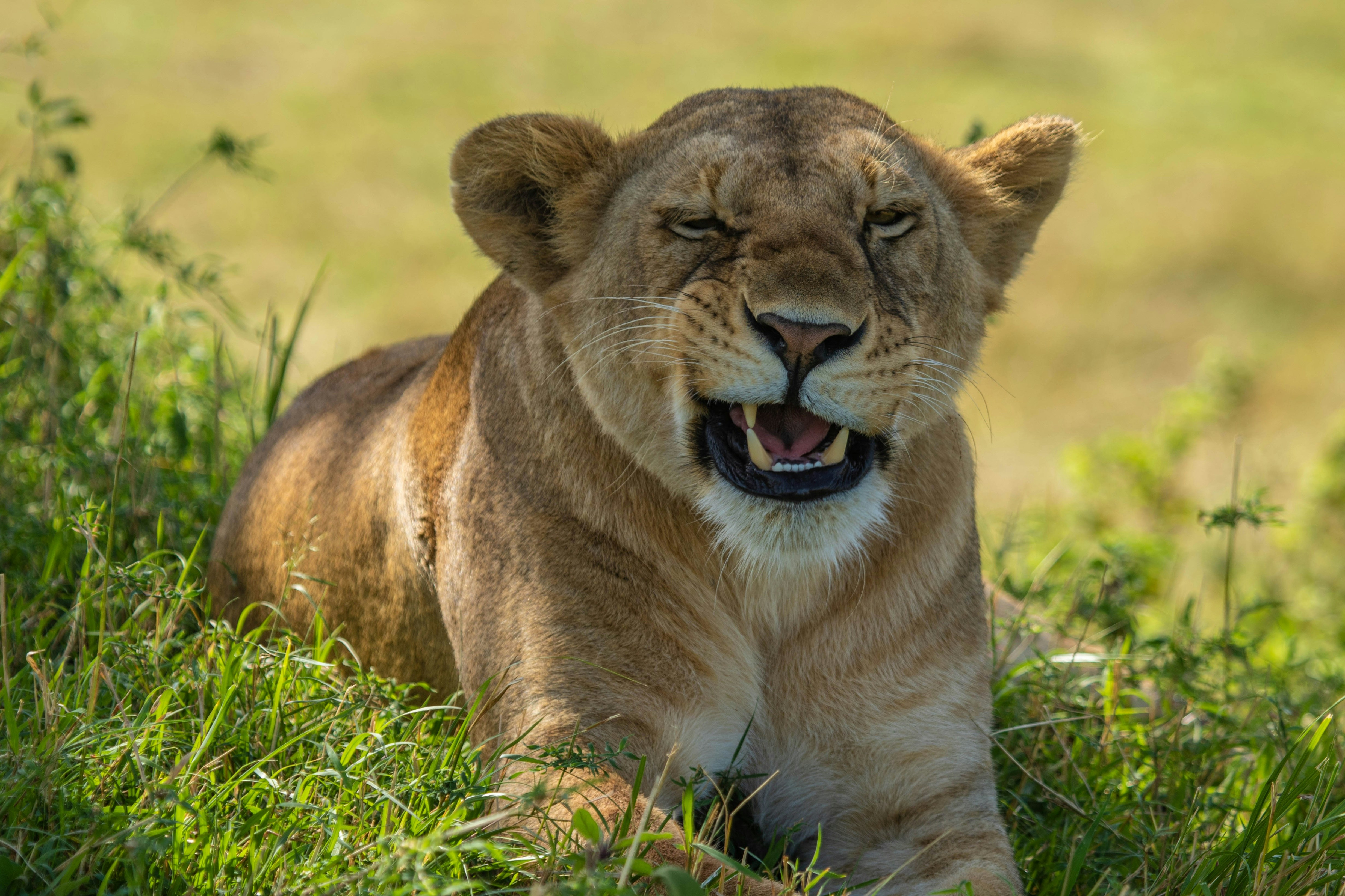 Photo by meektrails_safaris