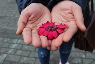 Hands holding a single red flower petal.