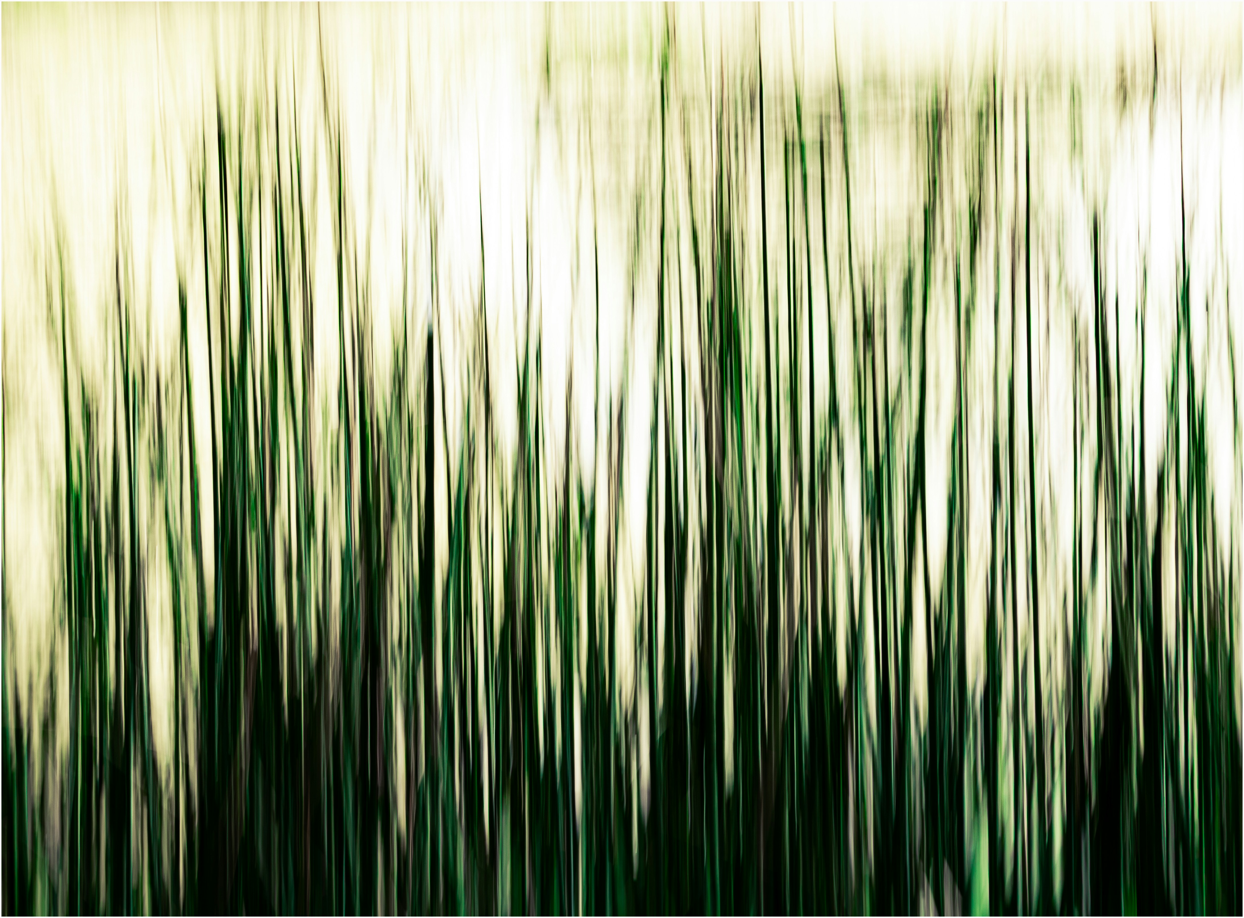 Abstract green and white vertical lines pattern