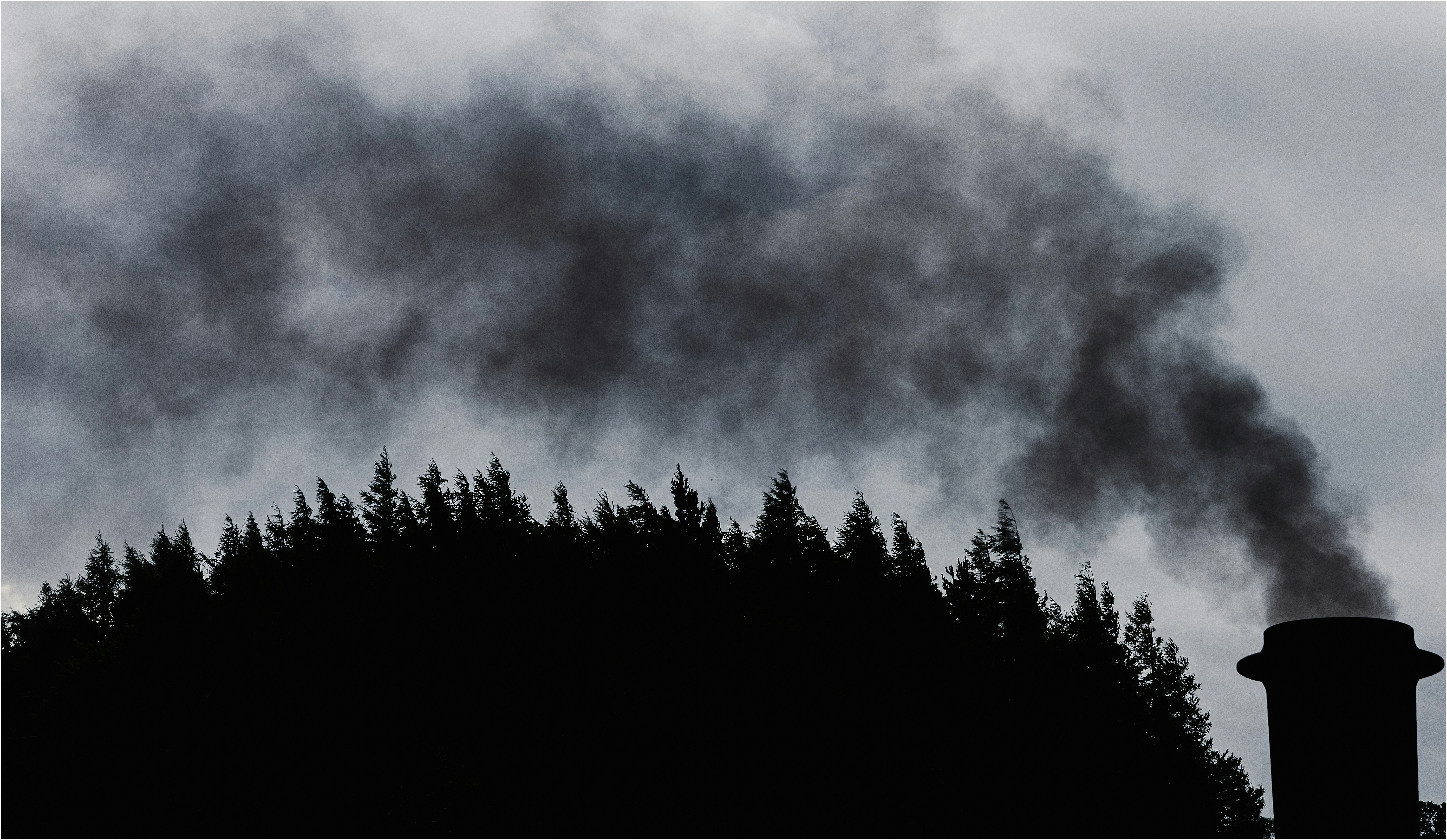 Impact on Tech Industry