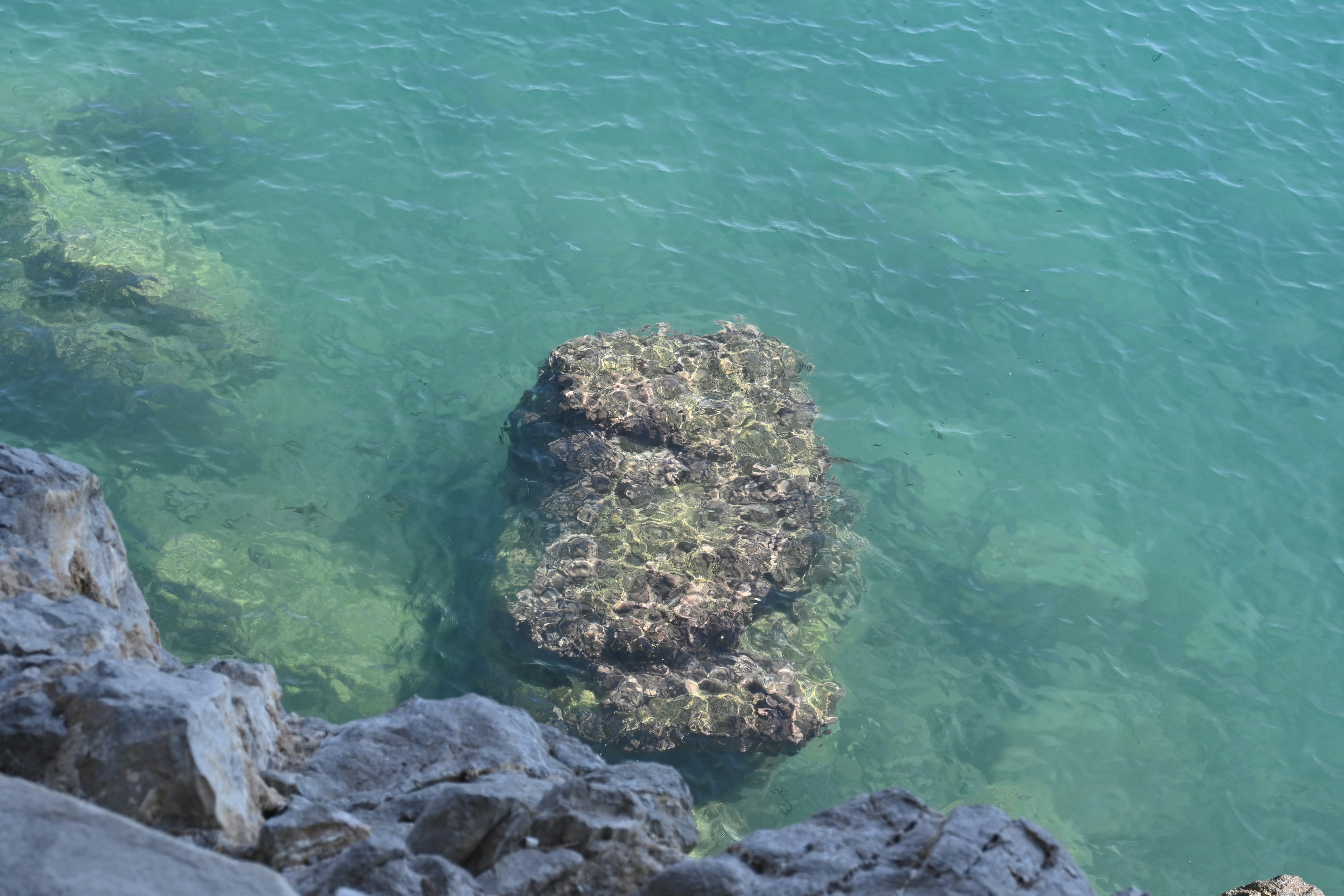 Clear turquoise water over rocks and reef.