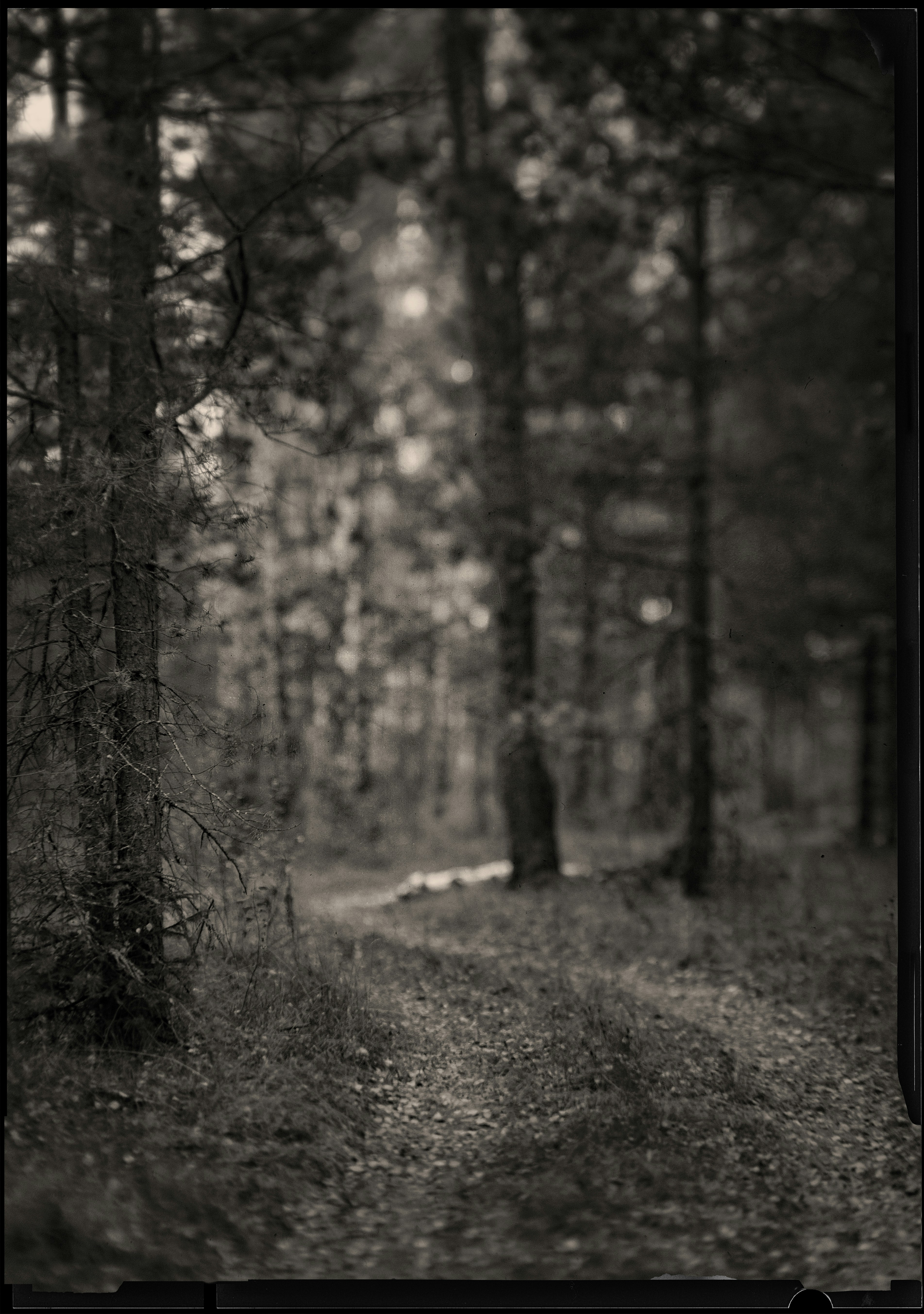 Photo by andrilliardbond