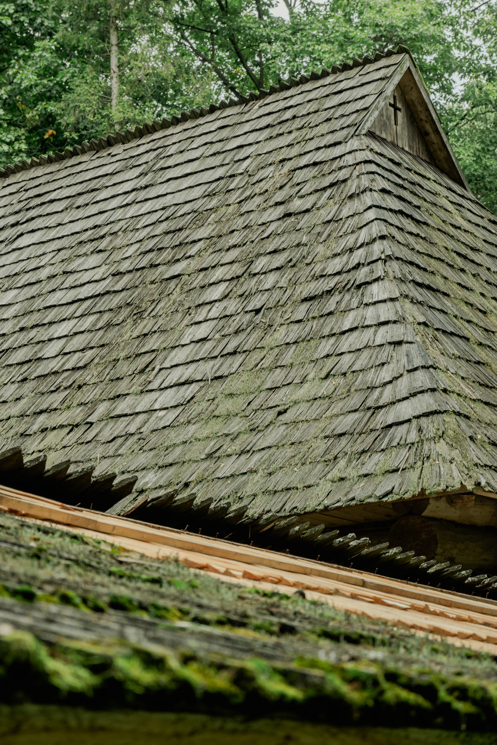 Weathered wooden roof shingles with moss and greenery in Eugene, Oregon