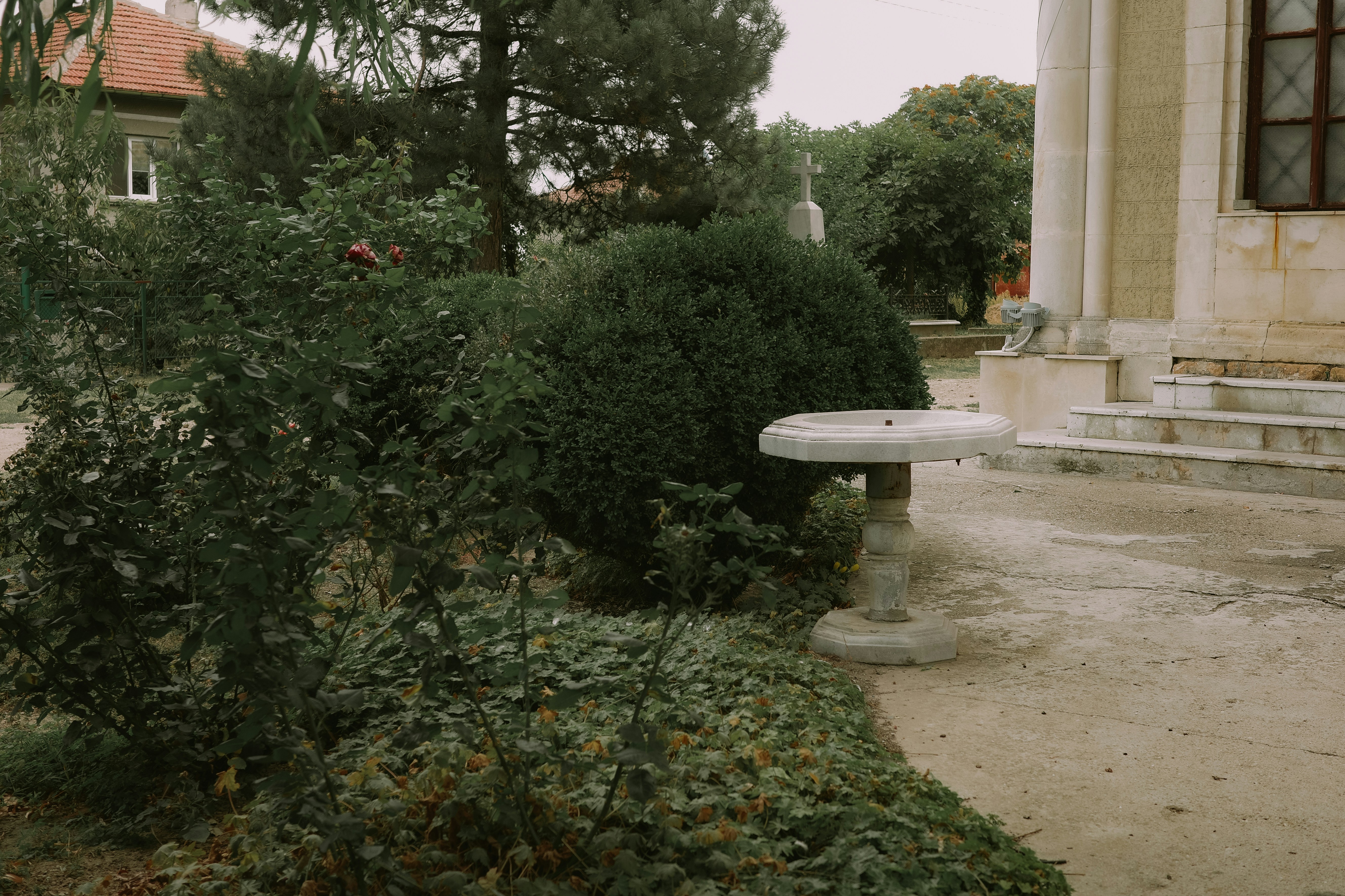 Photo by virginiaphotostories