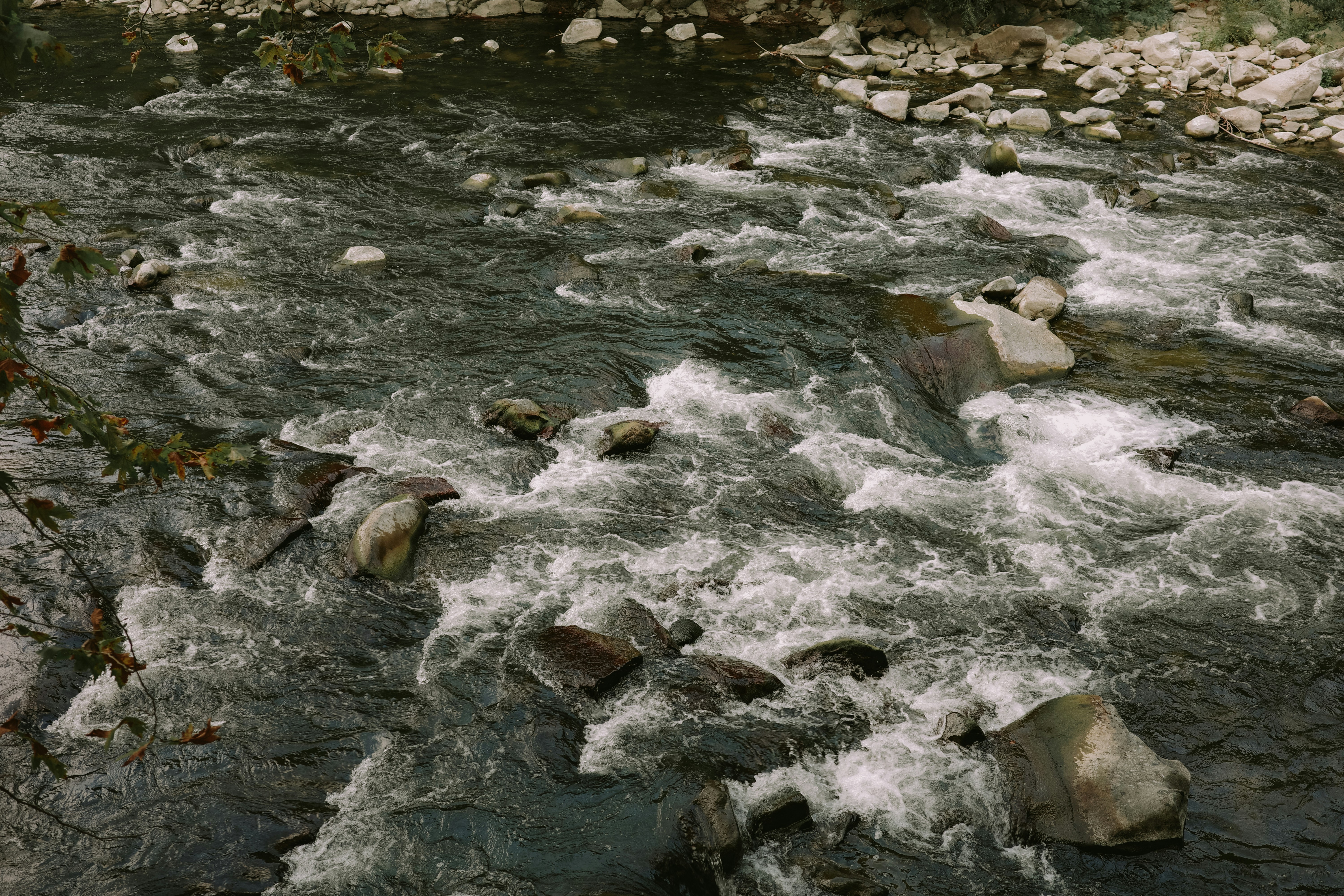 Photo by virginiaphotostories