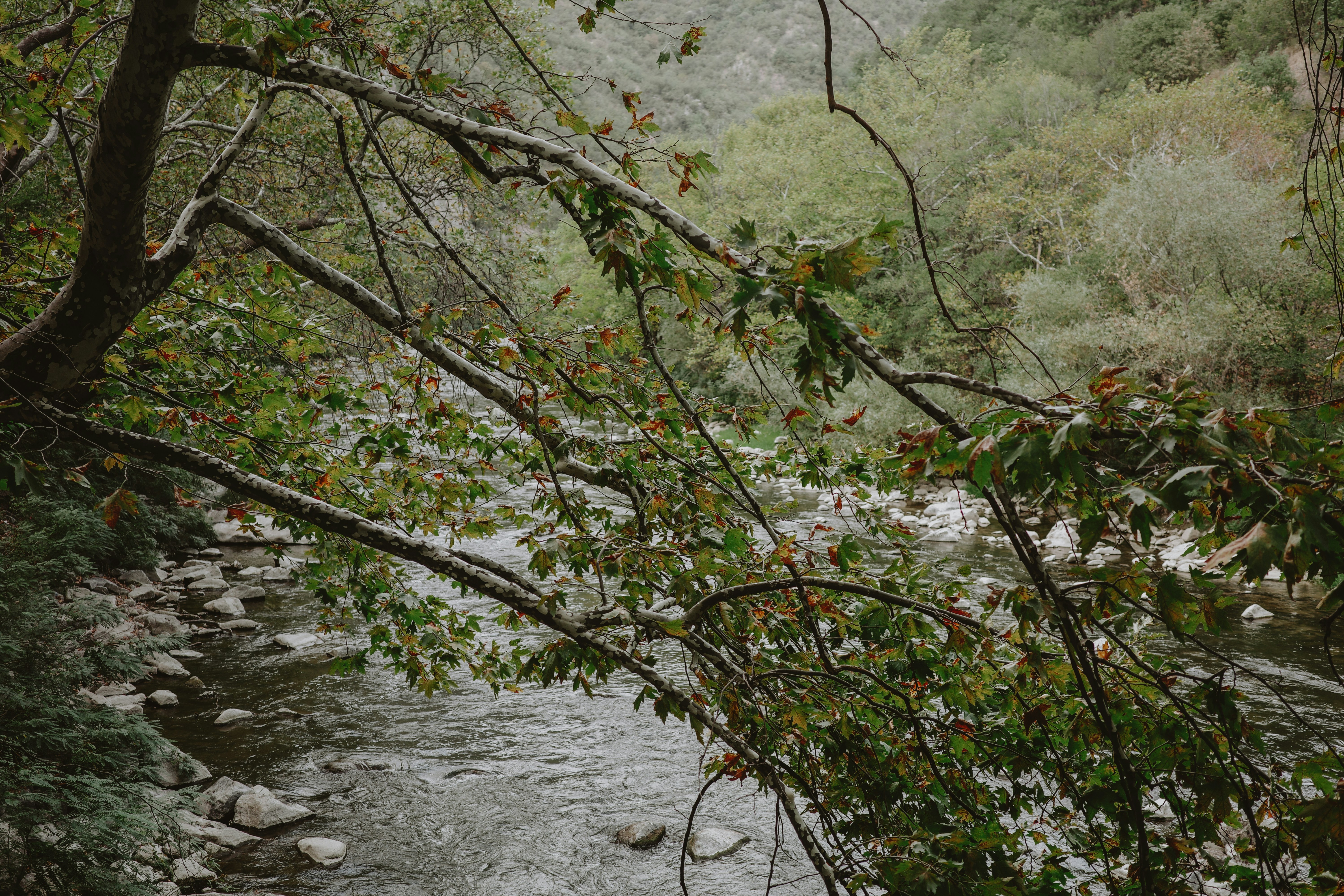 Photo by virginiaphotostories