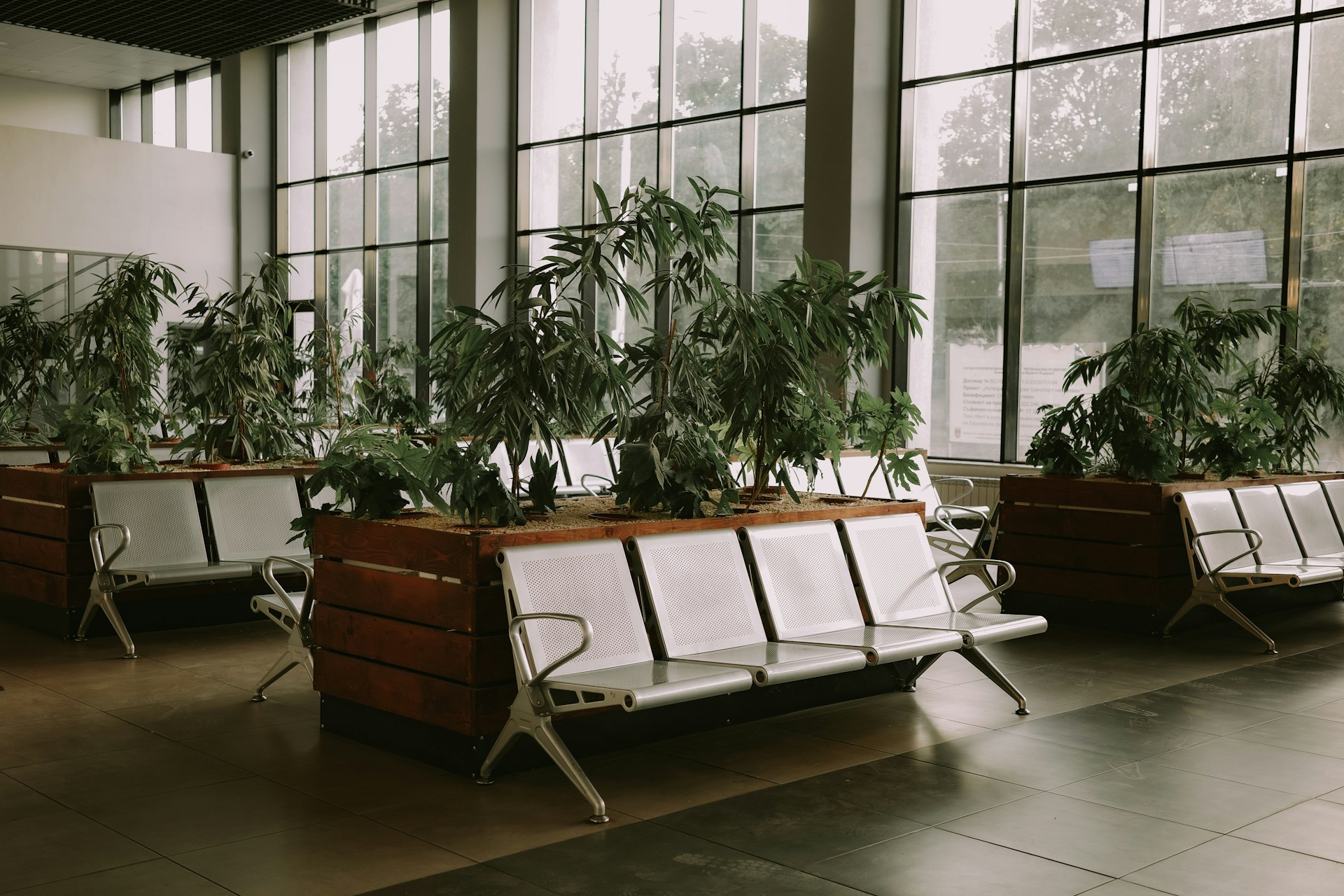 Rows of empty benches with potted plants indoors.