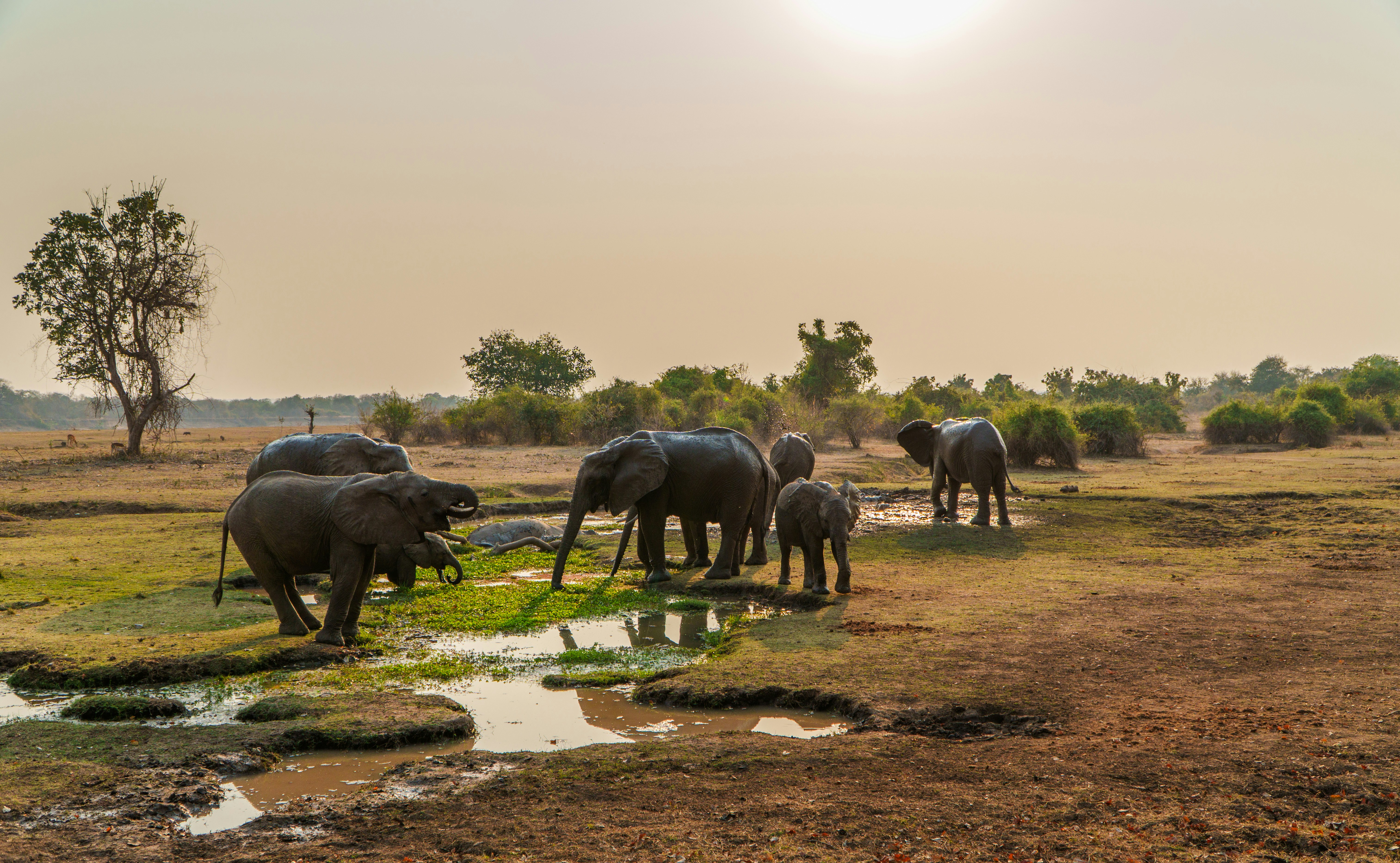 A panoramic view of the Zambian landscape at sunset.