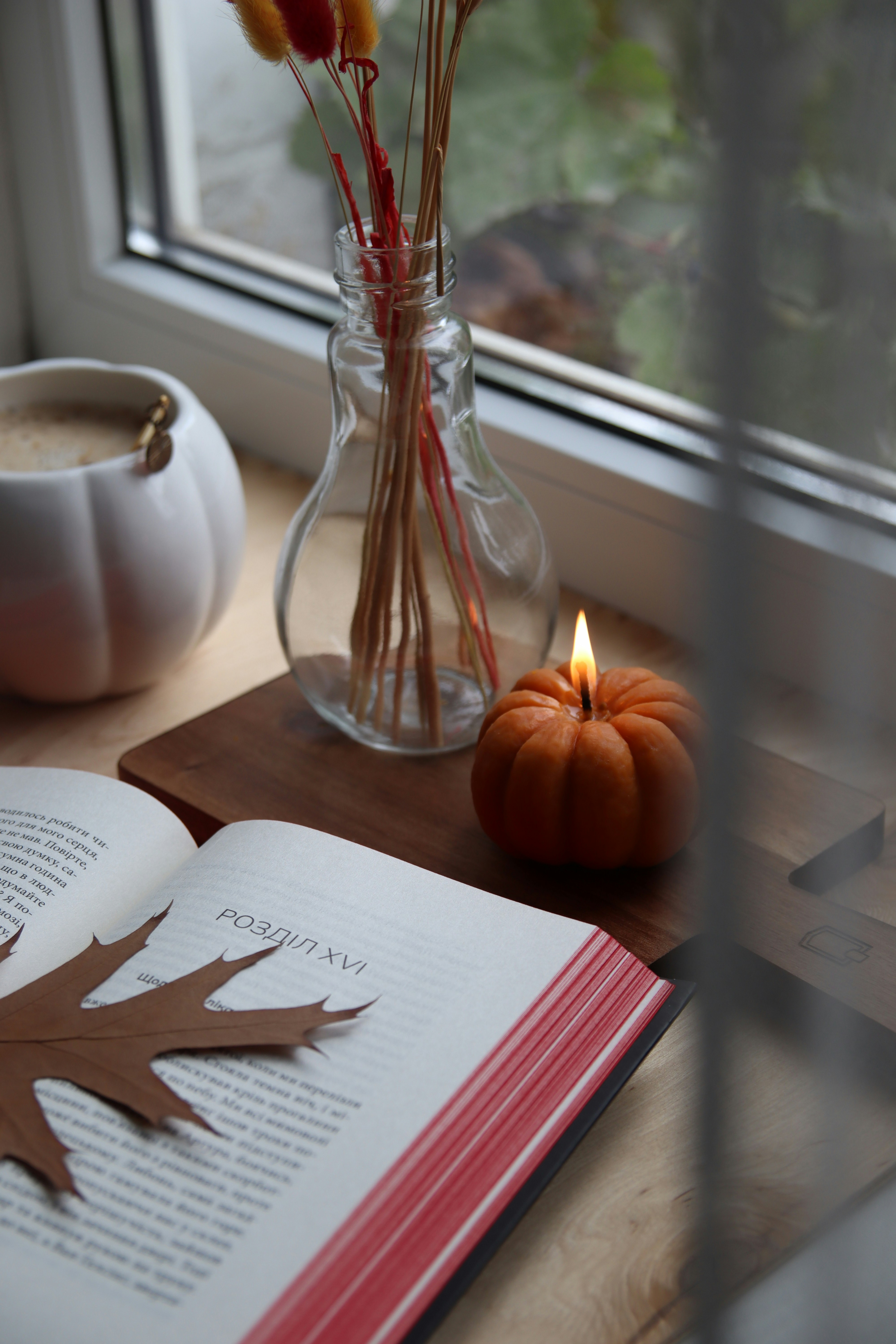Libro abierto con hoja de otoño y vela de calabaza encendida foto – Imagen  de Libro gratuita en Unsplash, image size:3000x4500