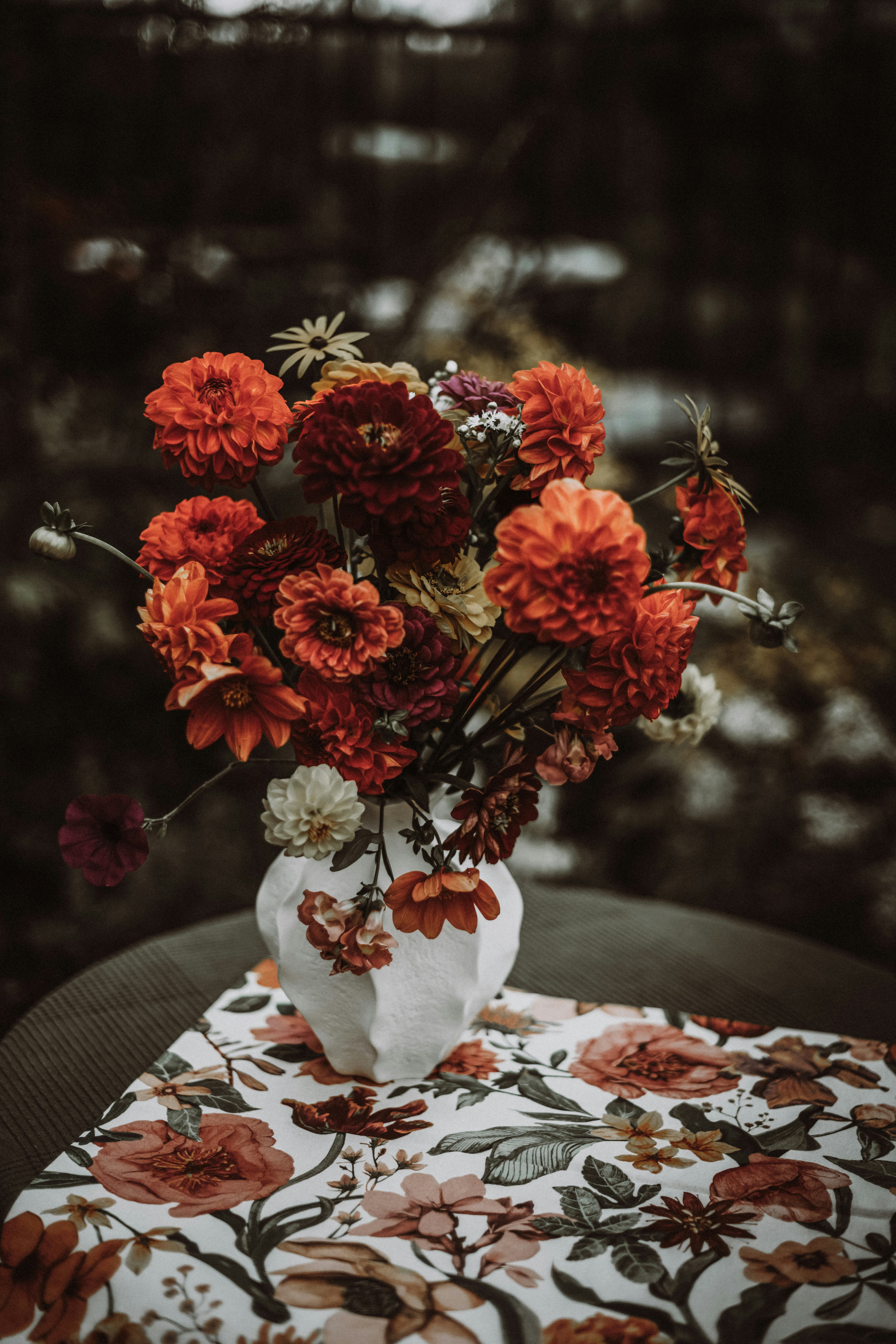 Photo by anitaaustvika