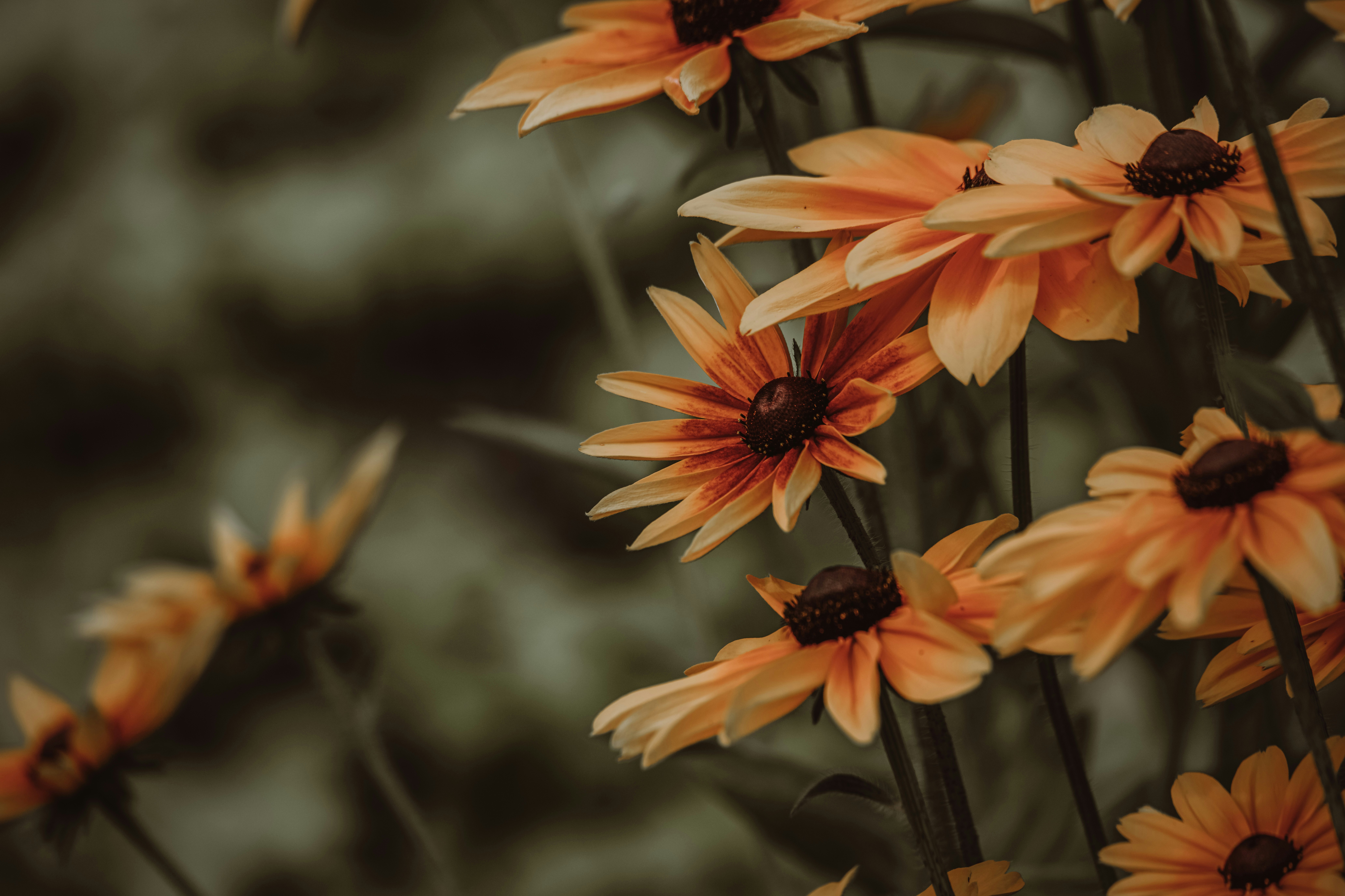 Photo by anitaaustvika