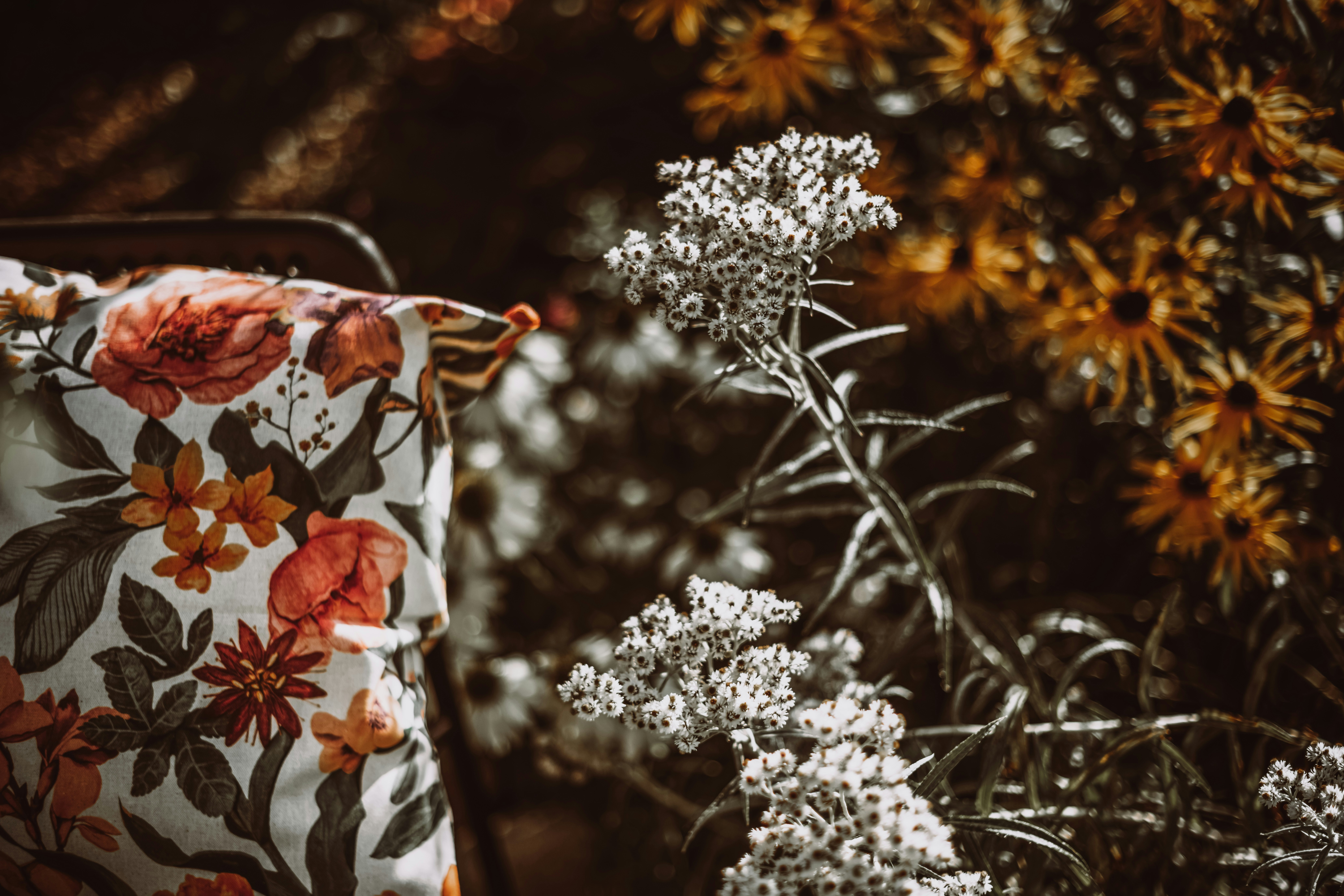 Photo by anitaaustvika