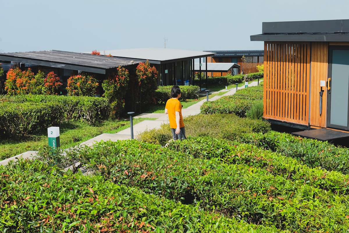 Executive Suite Living Area
