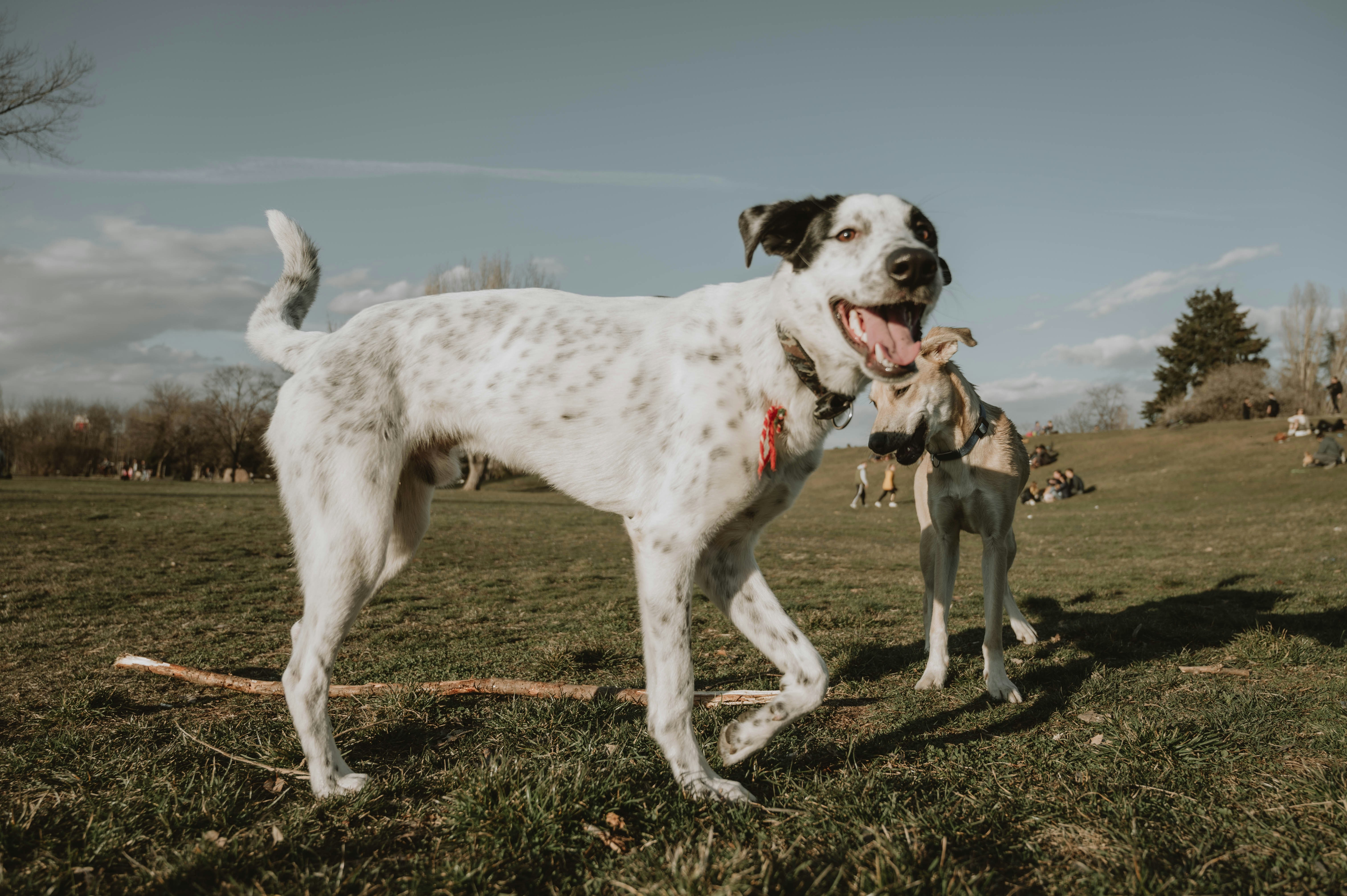 Photo by virginiaphotostories