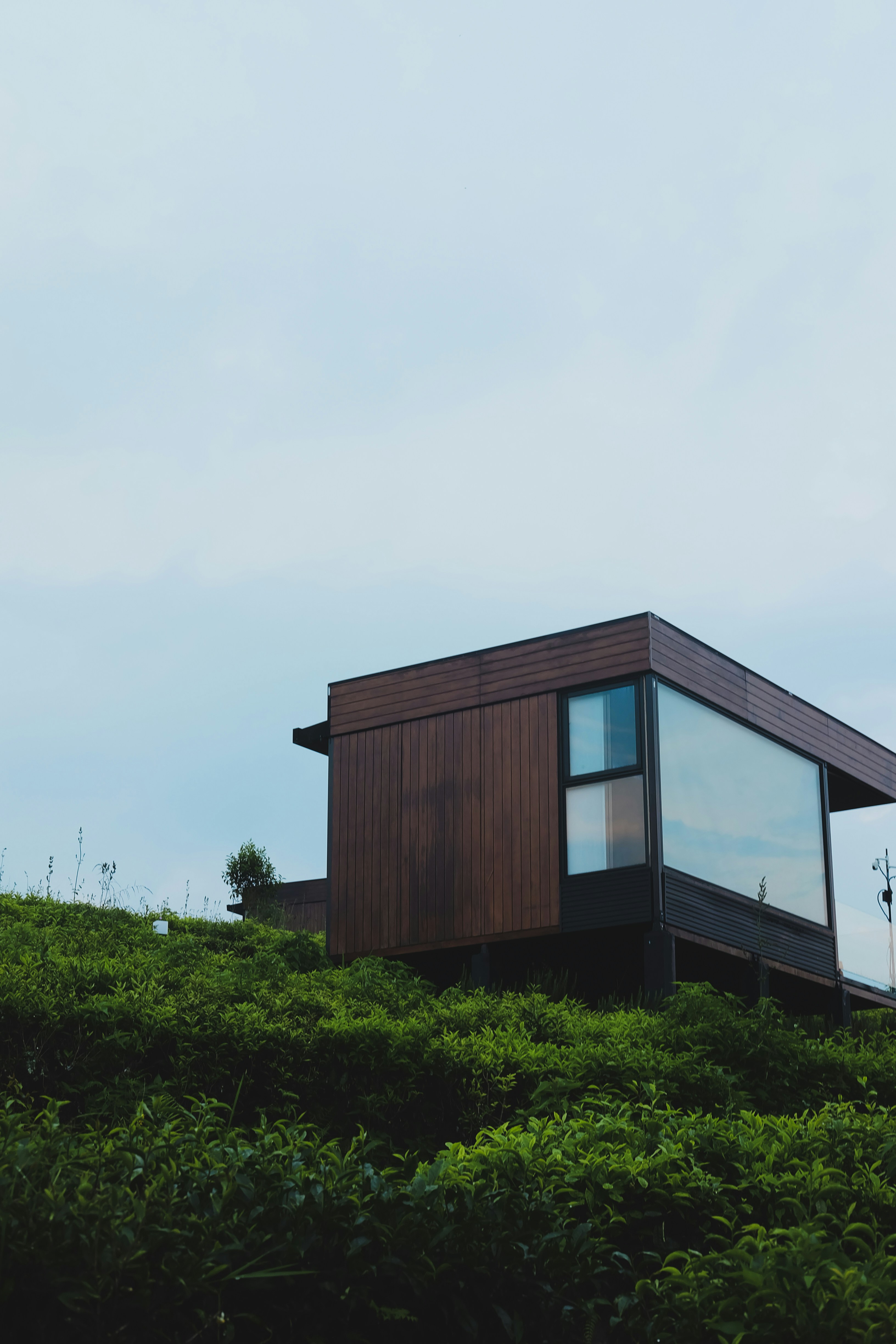 Modern cabin on a green hillside