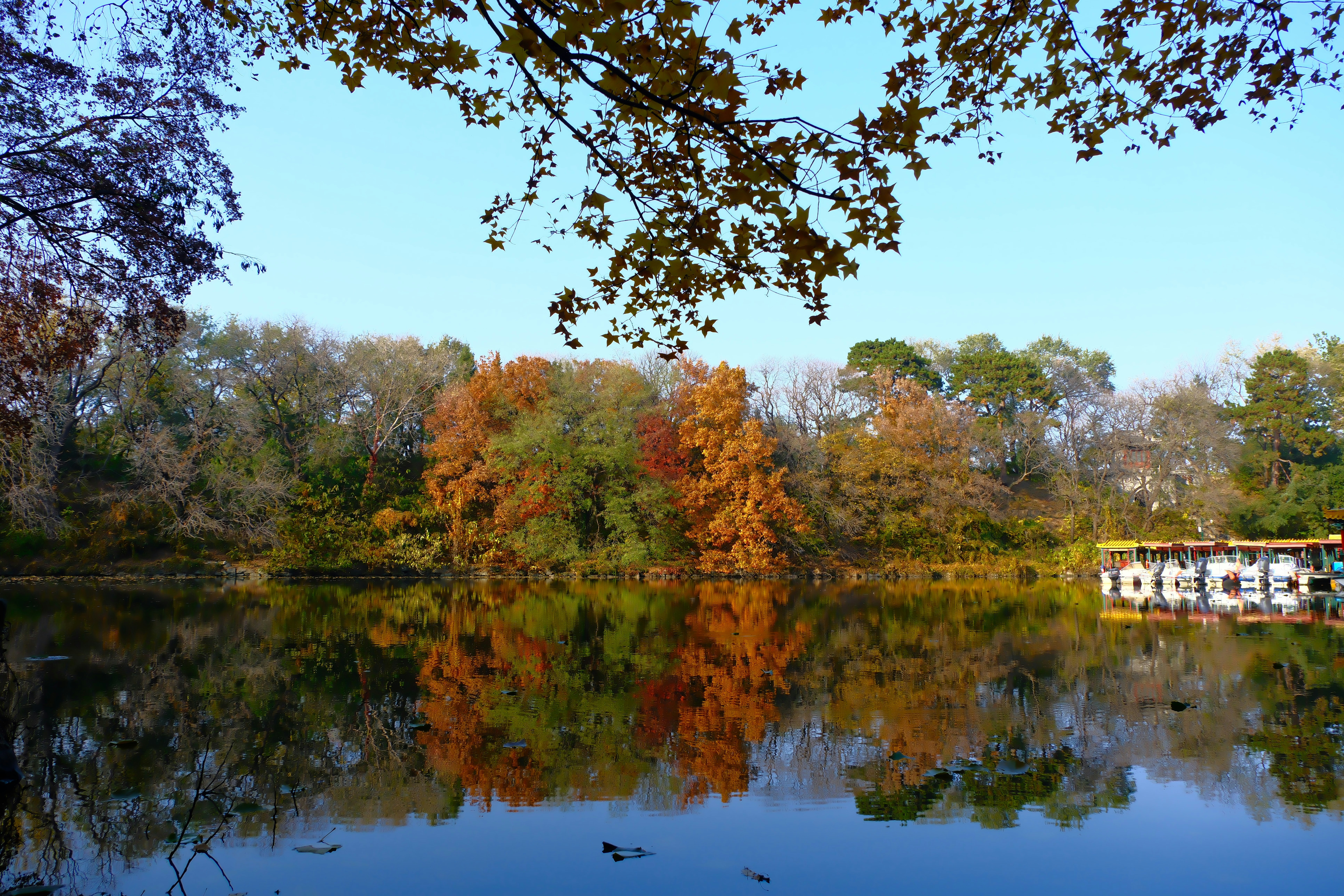 Photo by terrycarnivoroua