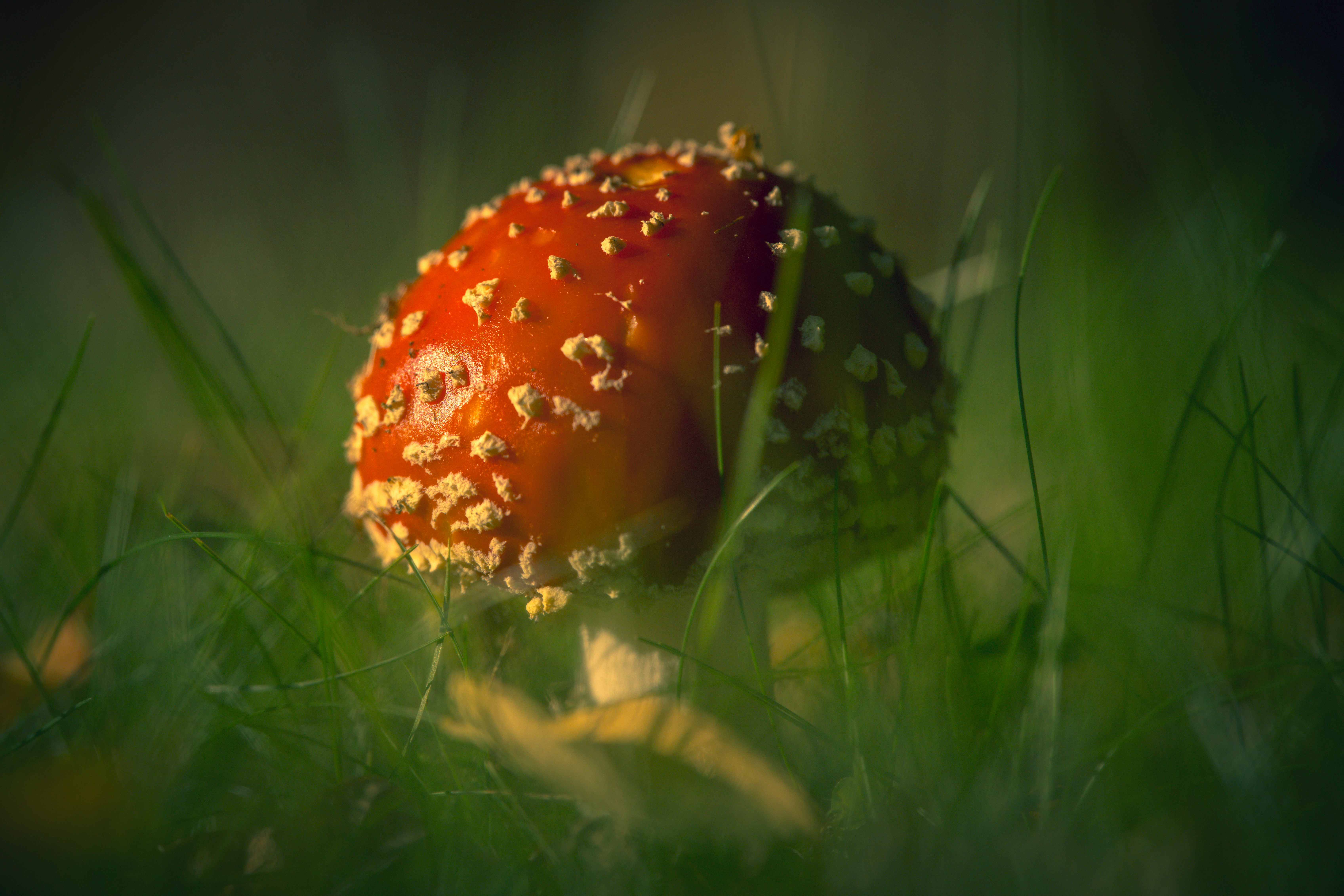 Photo by coombez