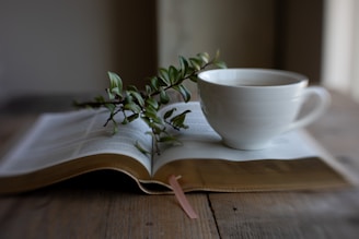 Open book with a cup of coffee and plant