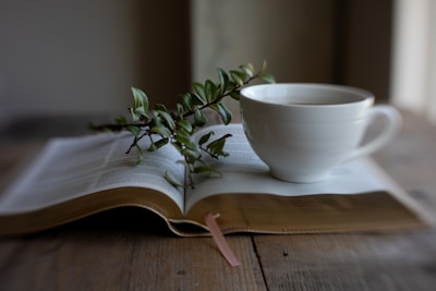 Open book with a cup of coffee and plant
