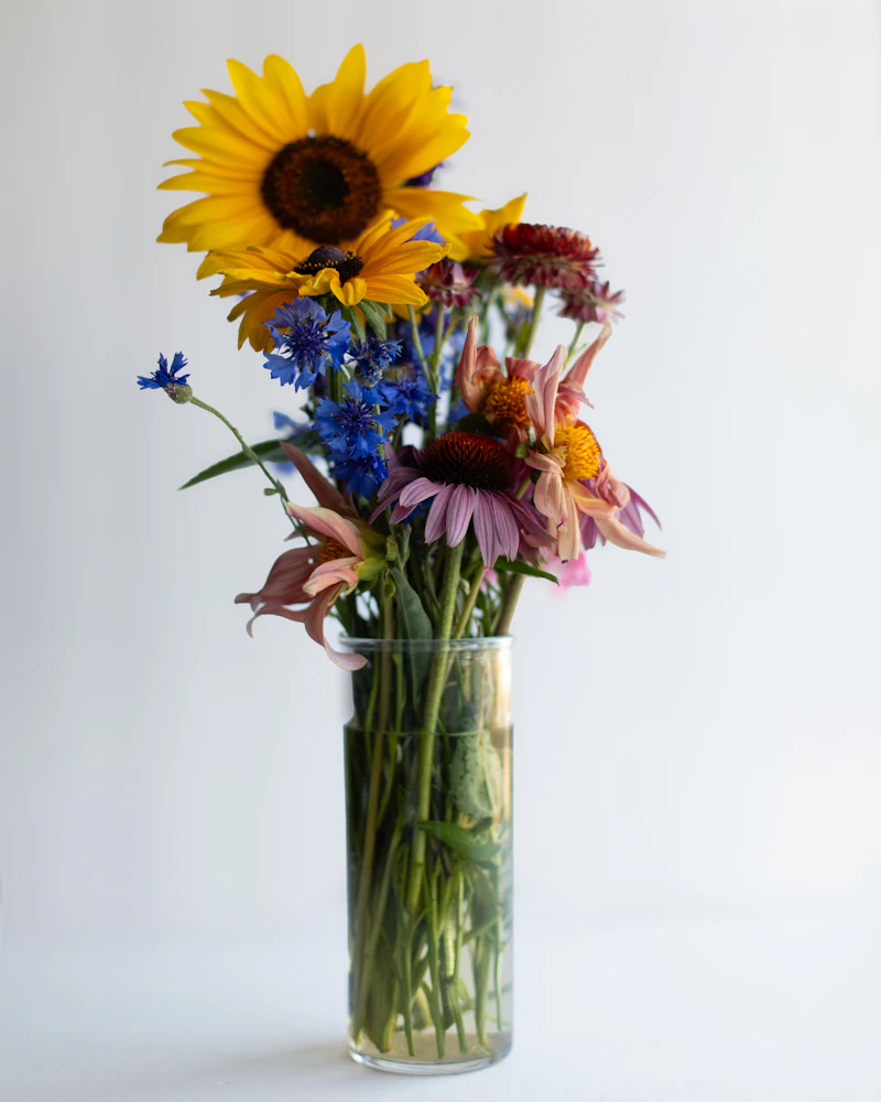 A tall glass vase of sunflowers, coneflowers and blue wildflowers against a plain wall