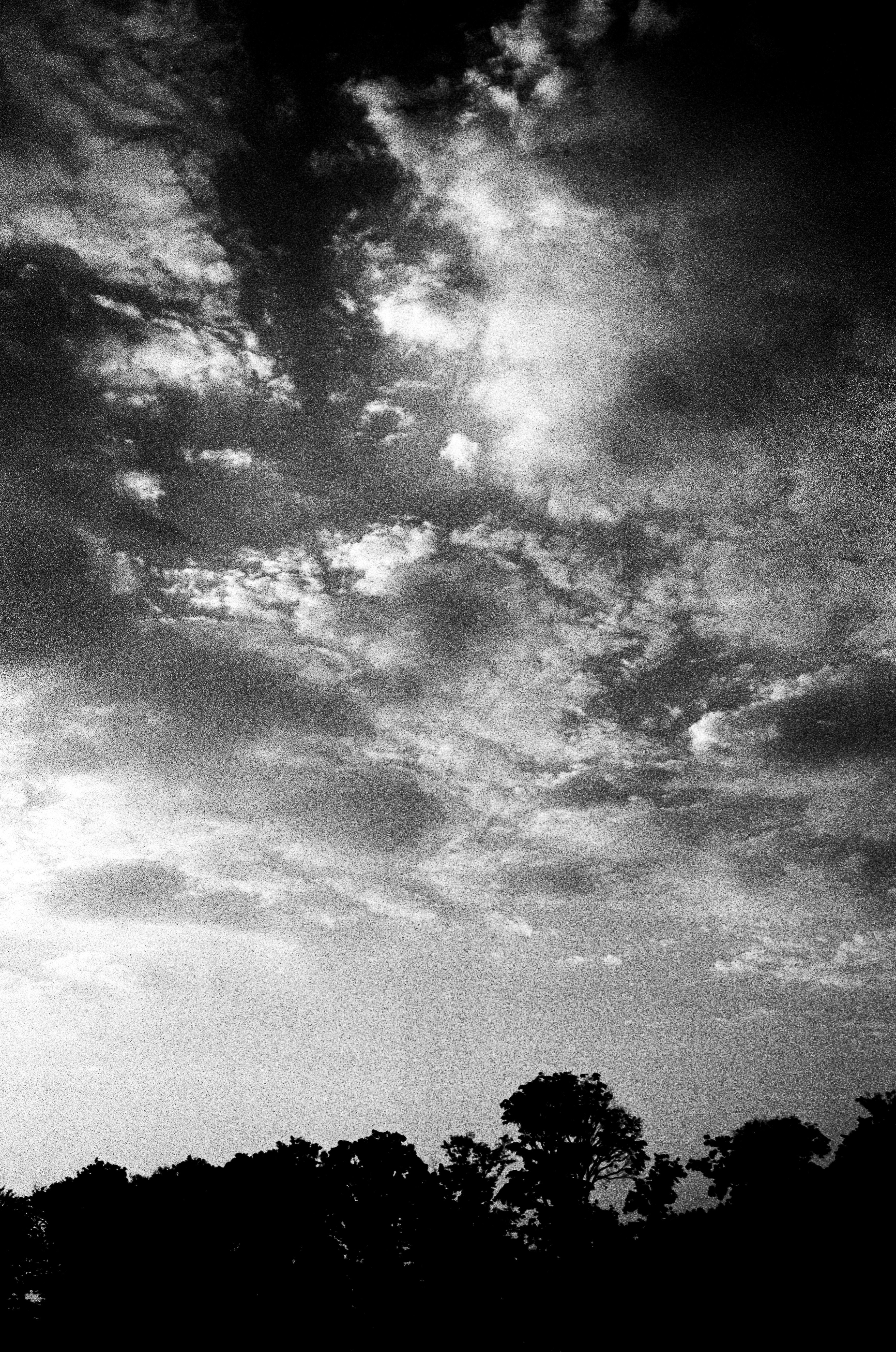 What's your favorite time of the day?