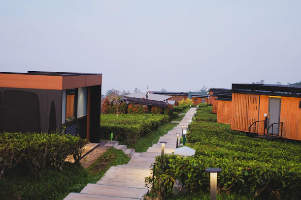 Modern cabins line a path through green tea fields.