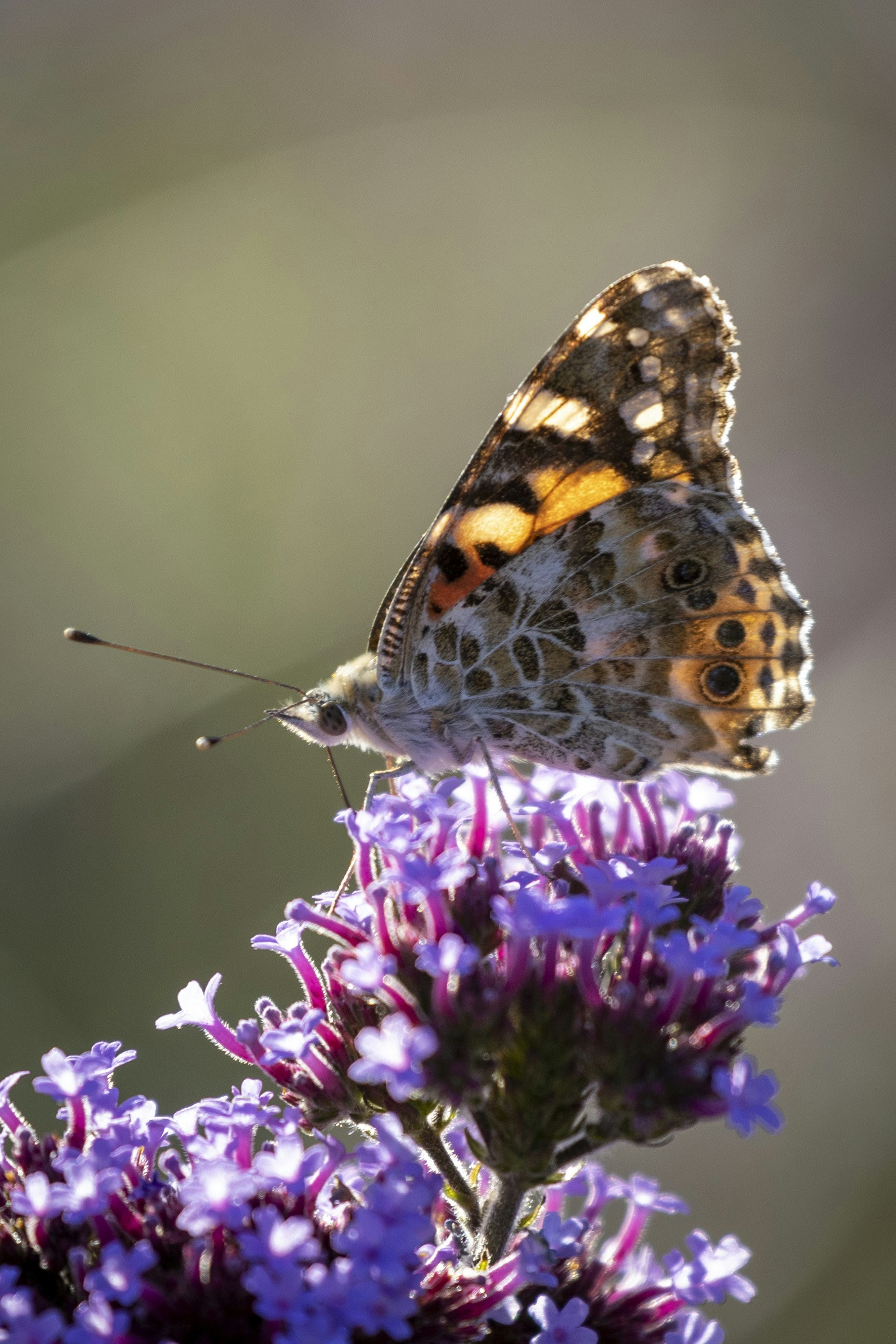 Photo by uin84917798