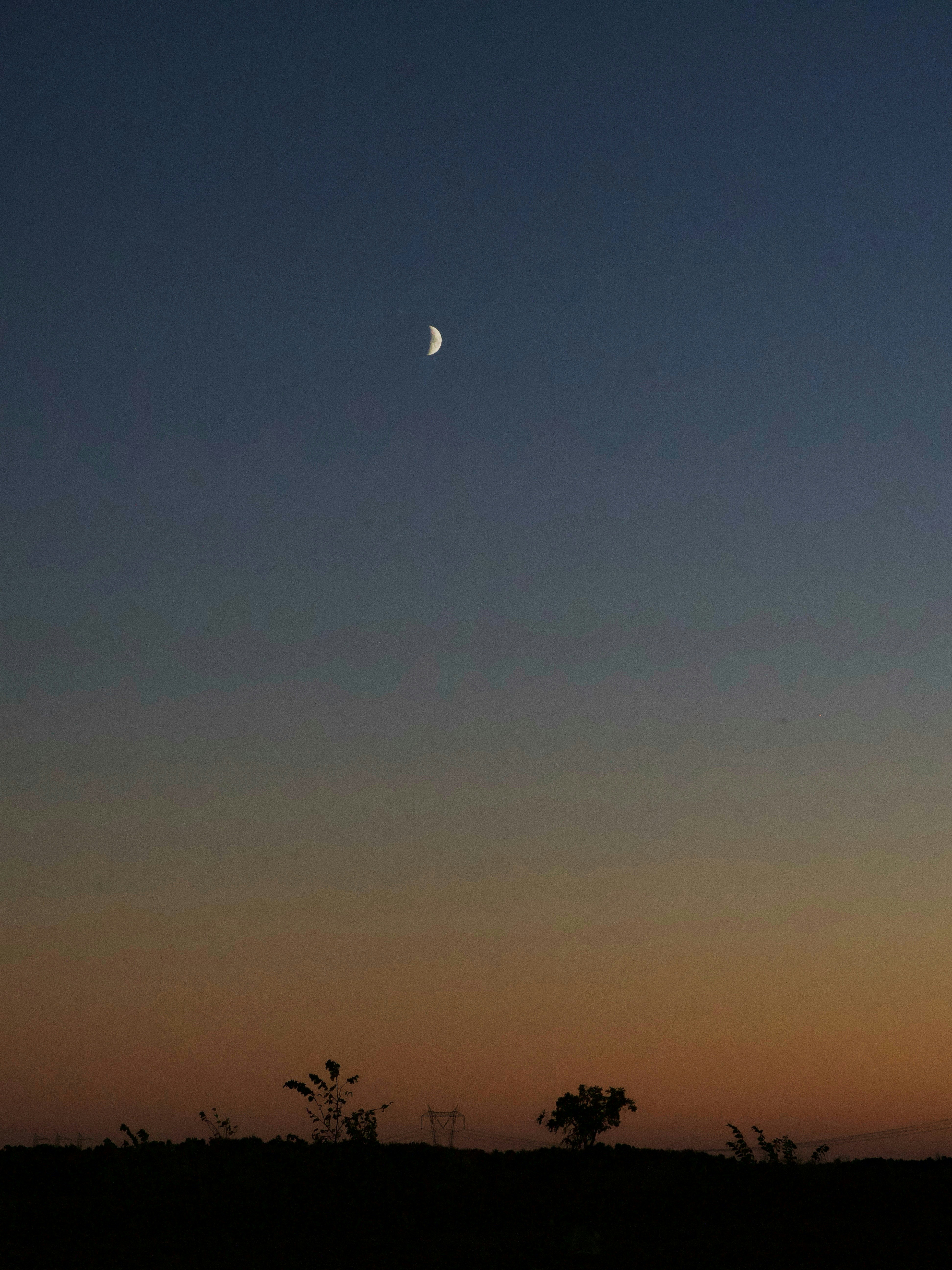 Photo by 19phototomato