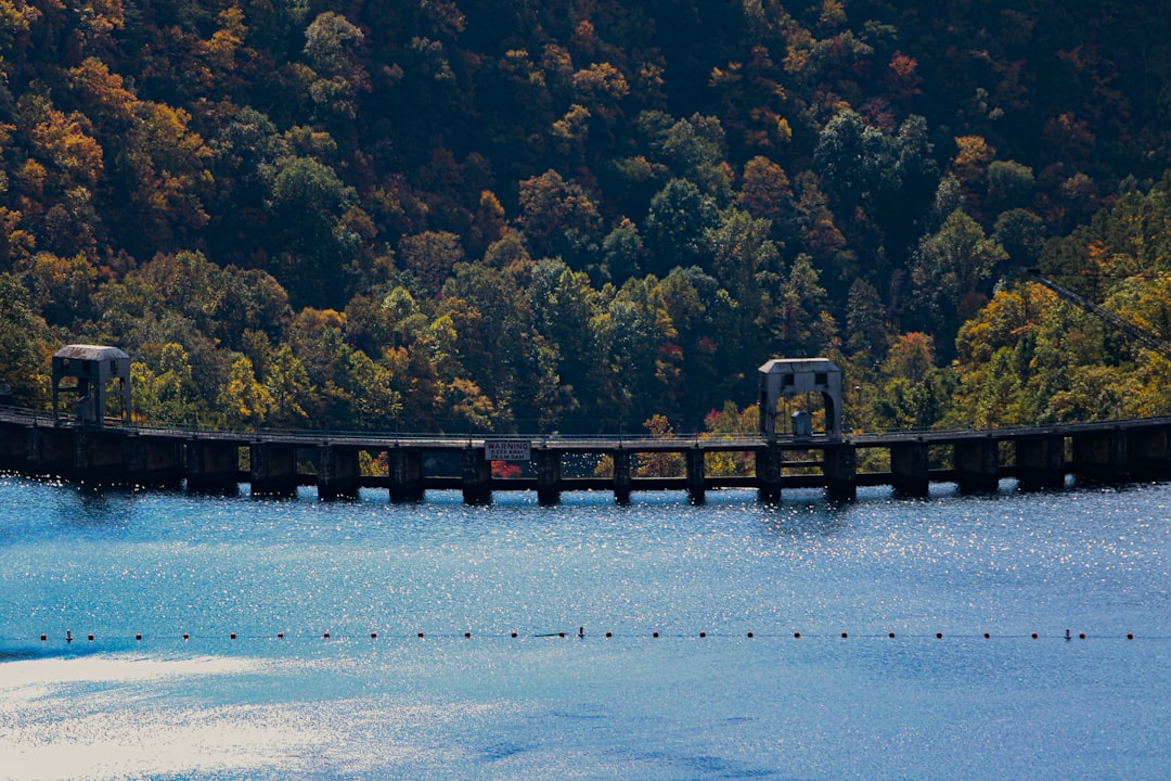 Dam structure with trees in the background