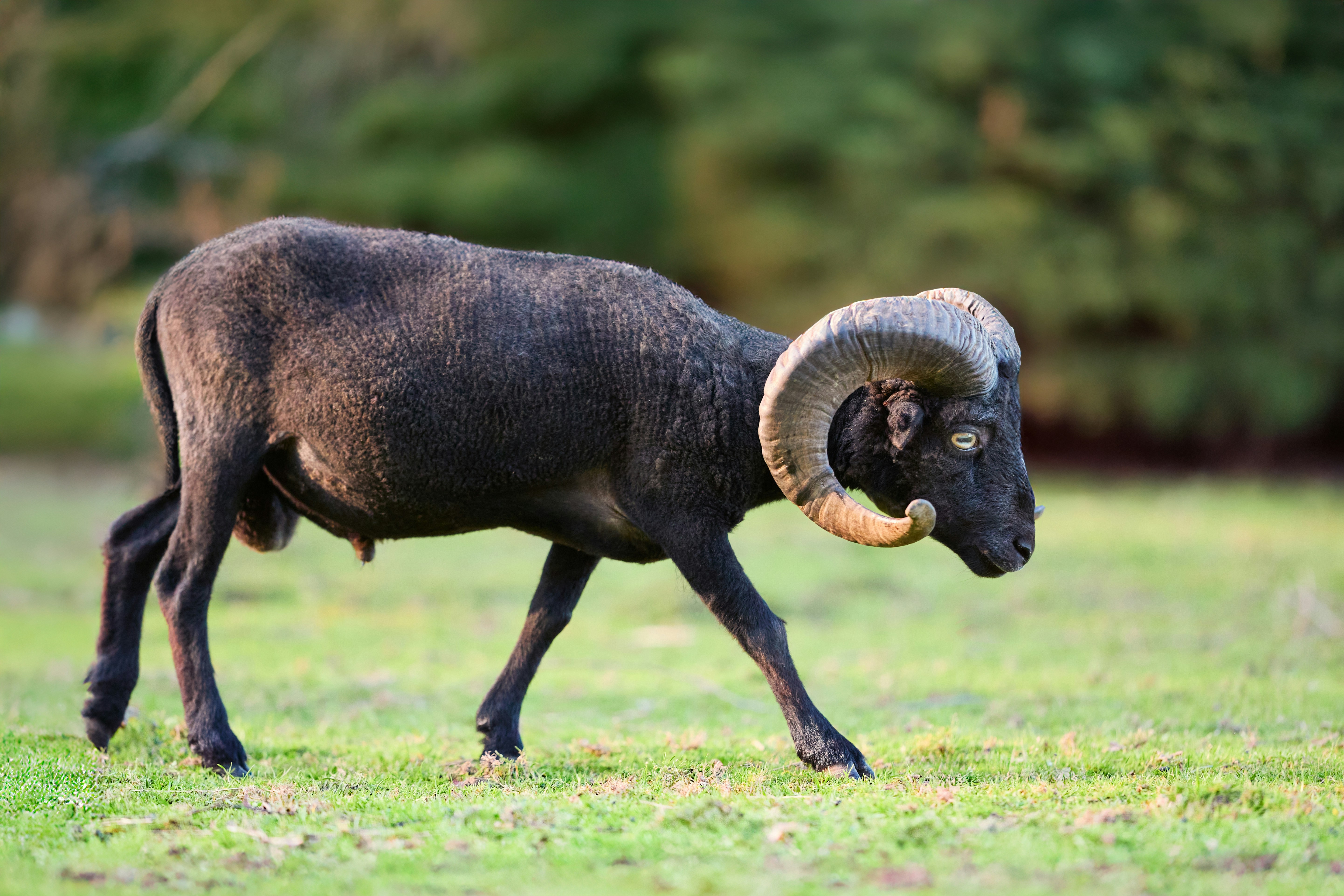 Photo by erwinbosman