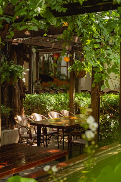 Outdoor cafe seating surrounded by lush green foliage