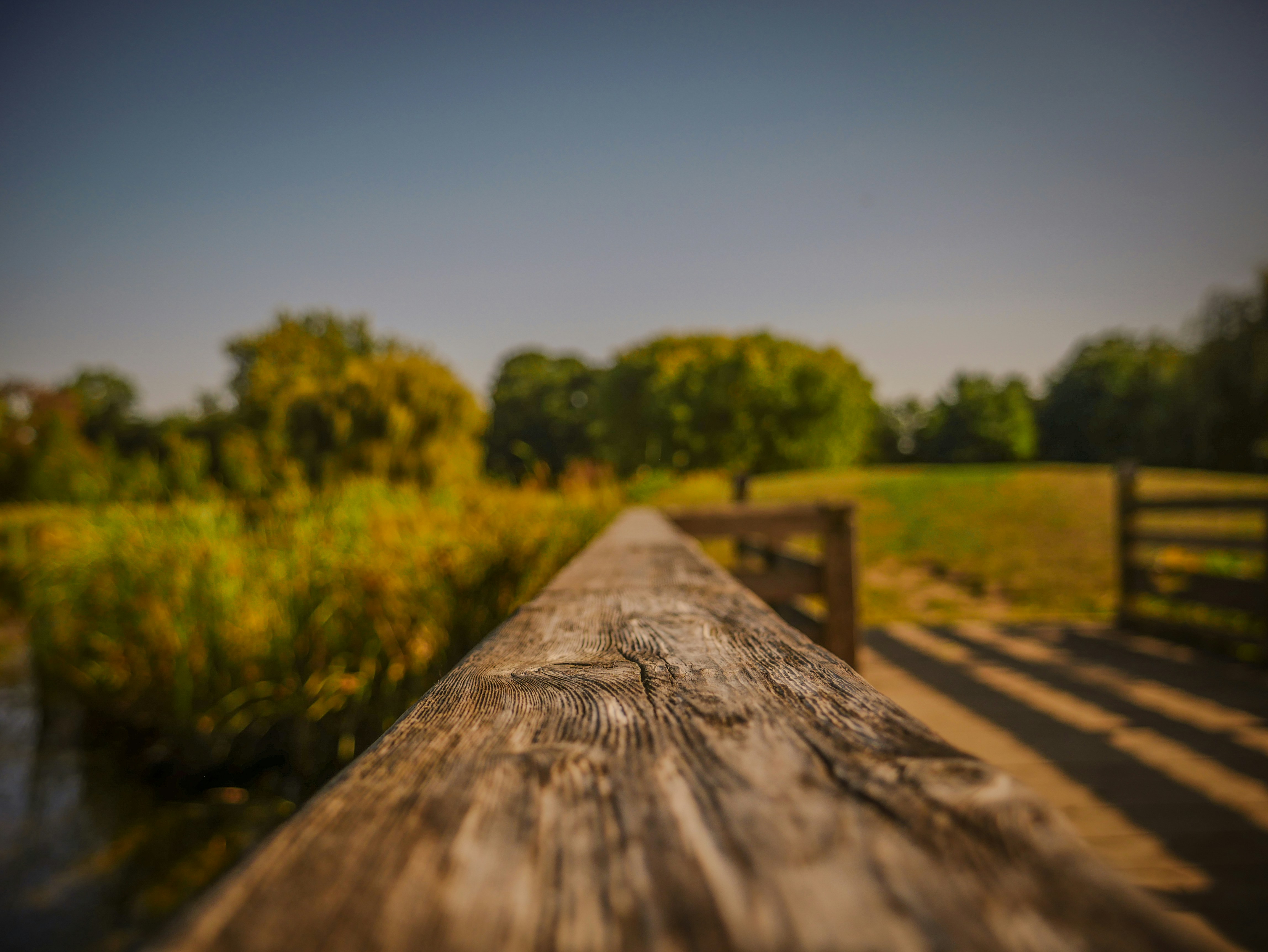 Photo by nipun_photography_unsplash