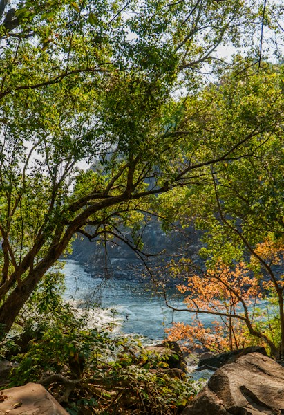 Most Dangerous Rivers in the World: Deadly Waters You Should Never Swim In