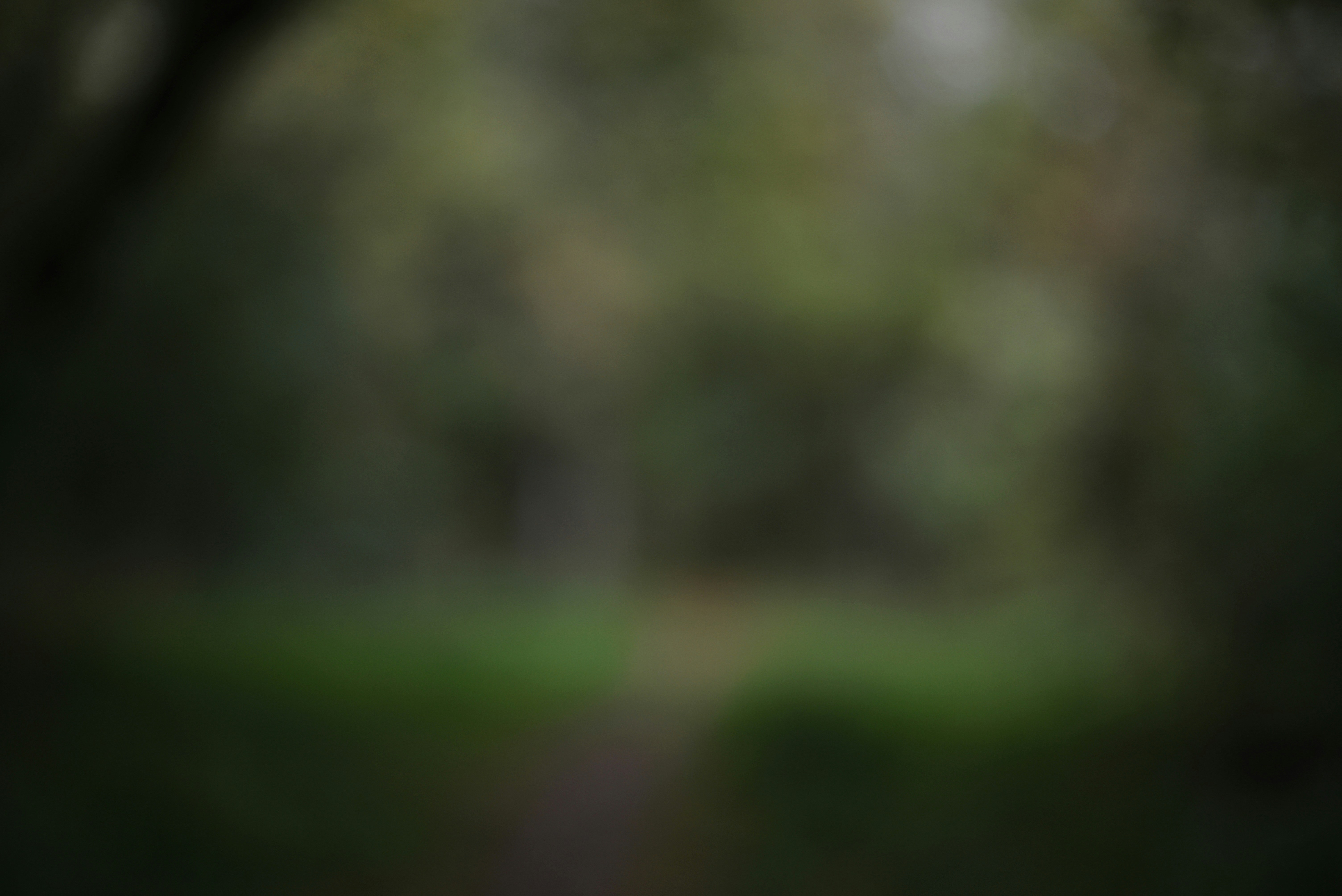 Die besten Mathe Tipps für gute Noten in der Schule.