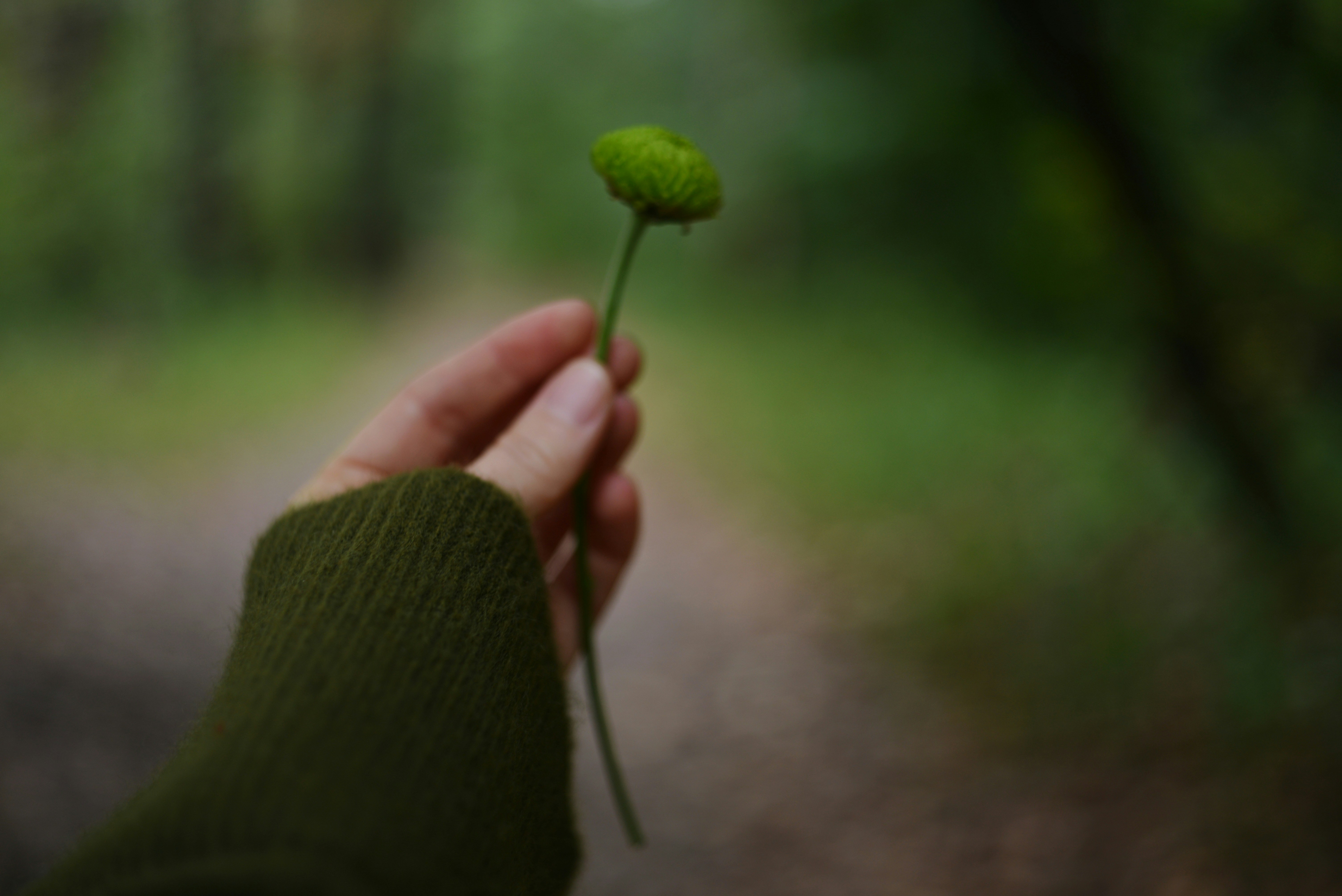 Photo by cherstve_pechivo