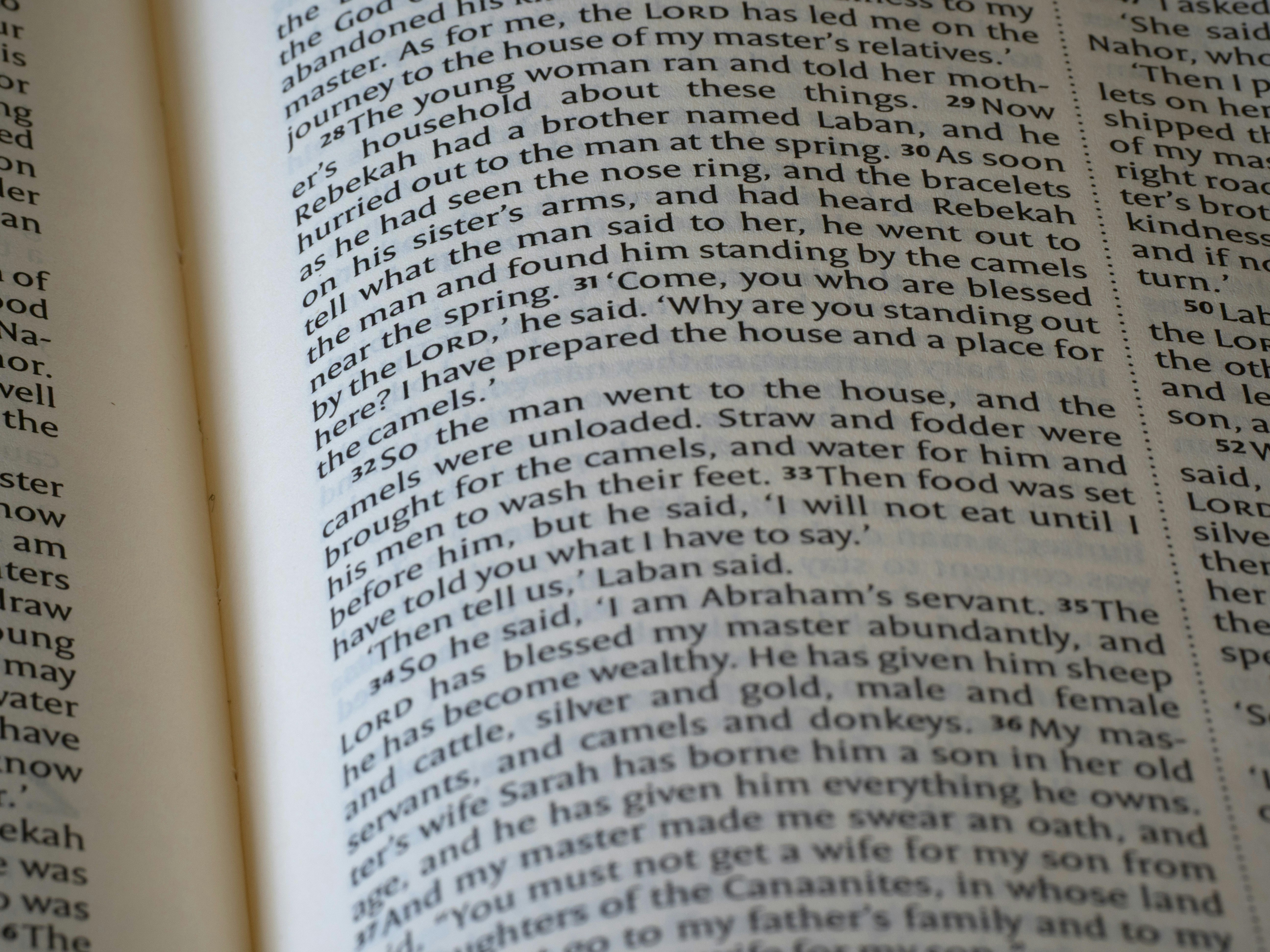 Photo by brett_jordan