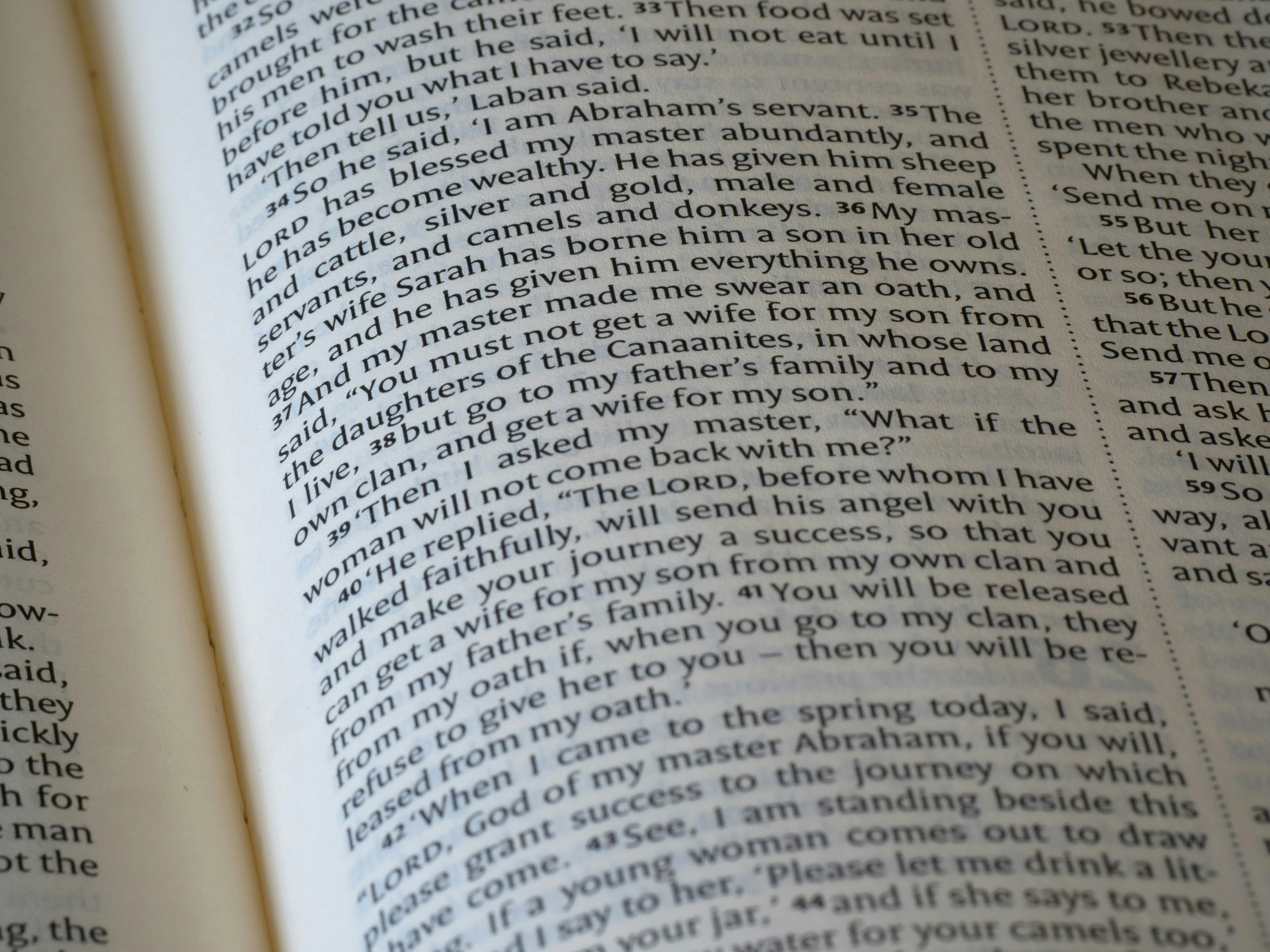 Photo by brett_jordan