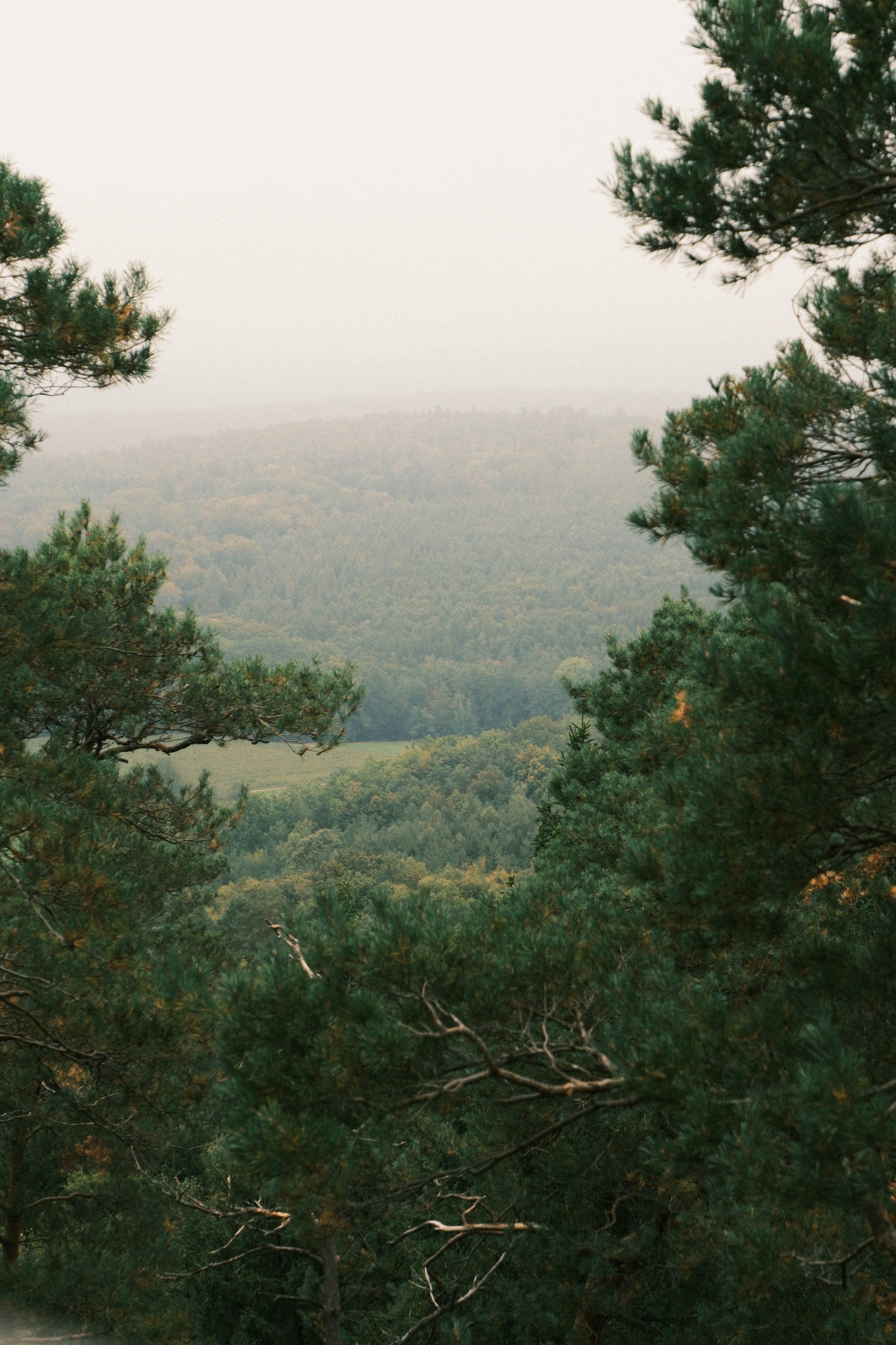 A beautiful, serene landscape with a path through a green field at sunrise.